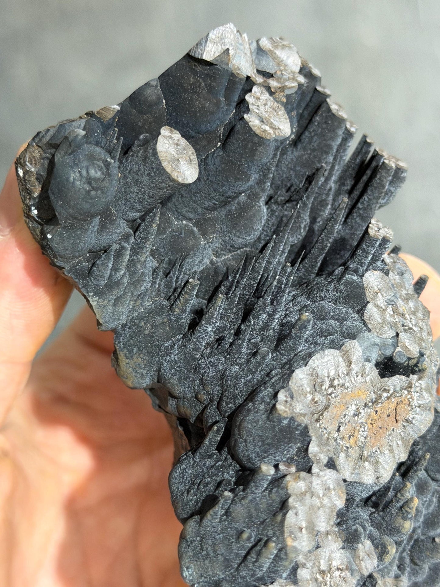 Very Showy! Velvet Stalactite Goethite Mineral