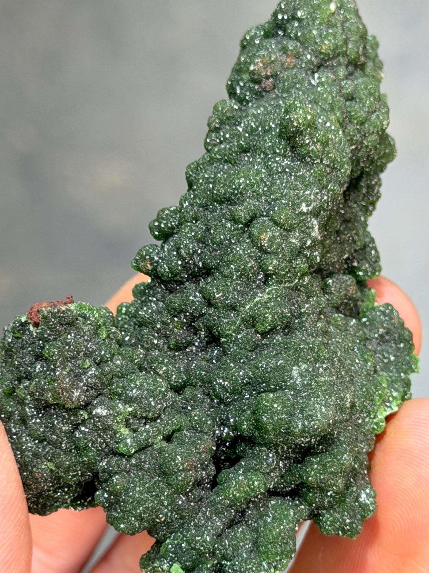The Collector Grade Conichalcite Specimen