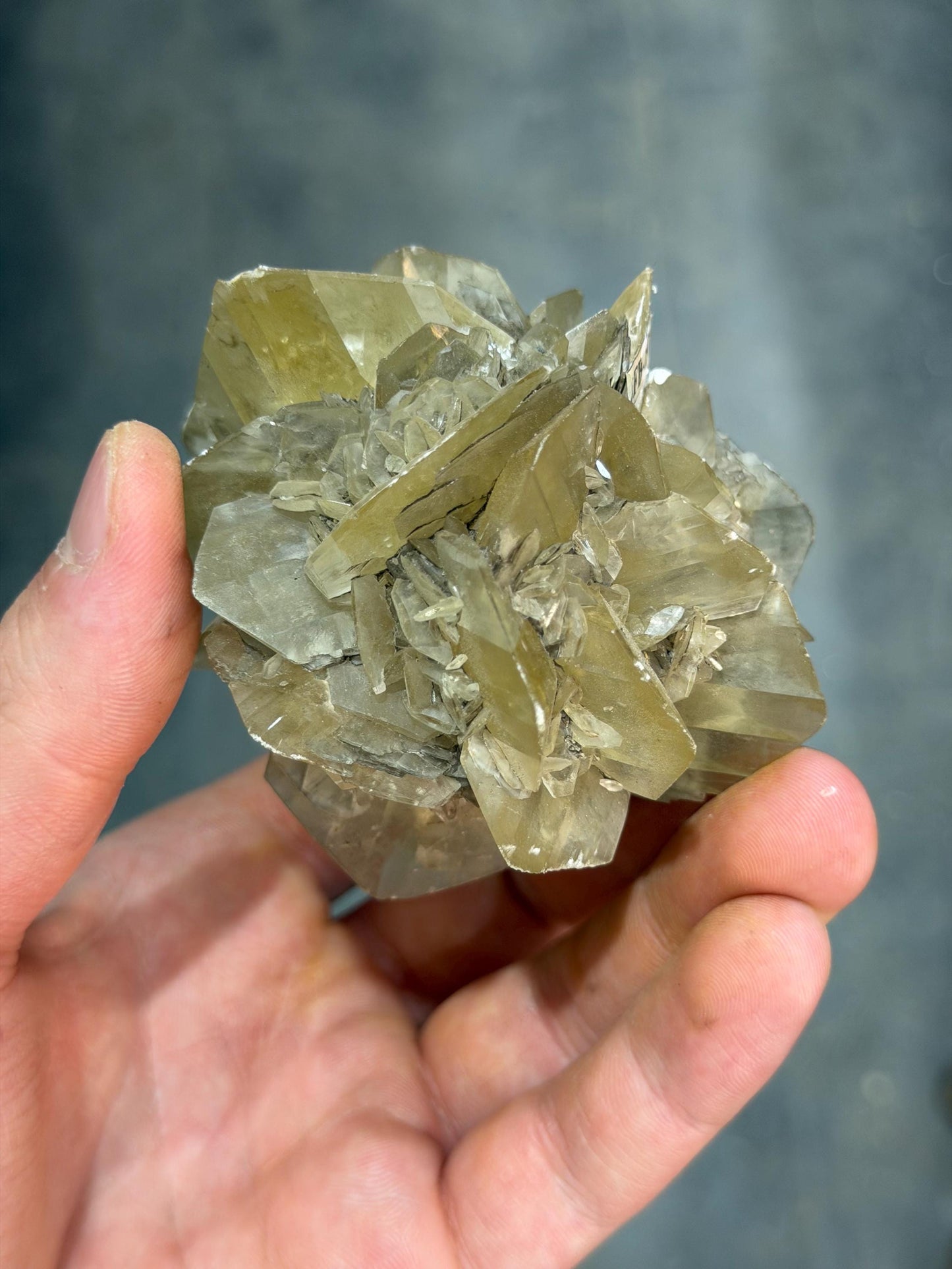 Selenite Rose Crystal