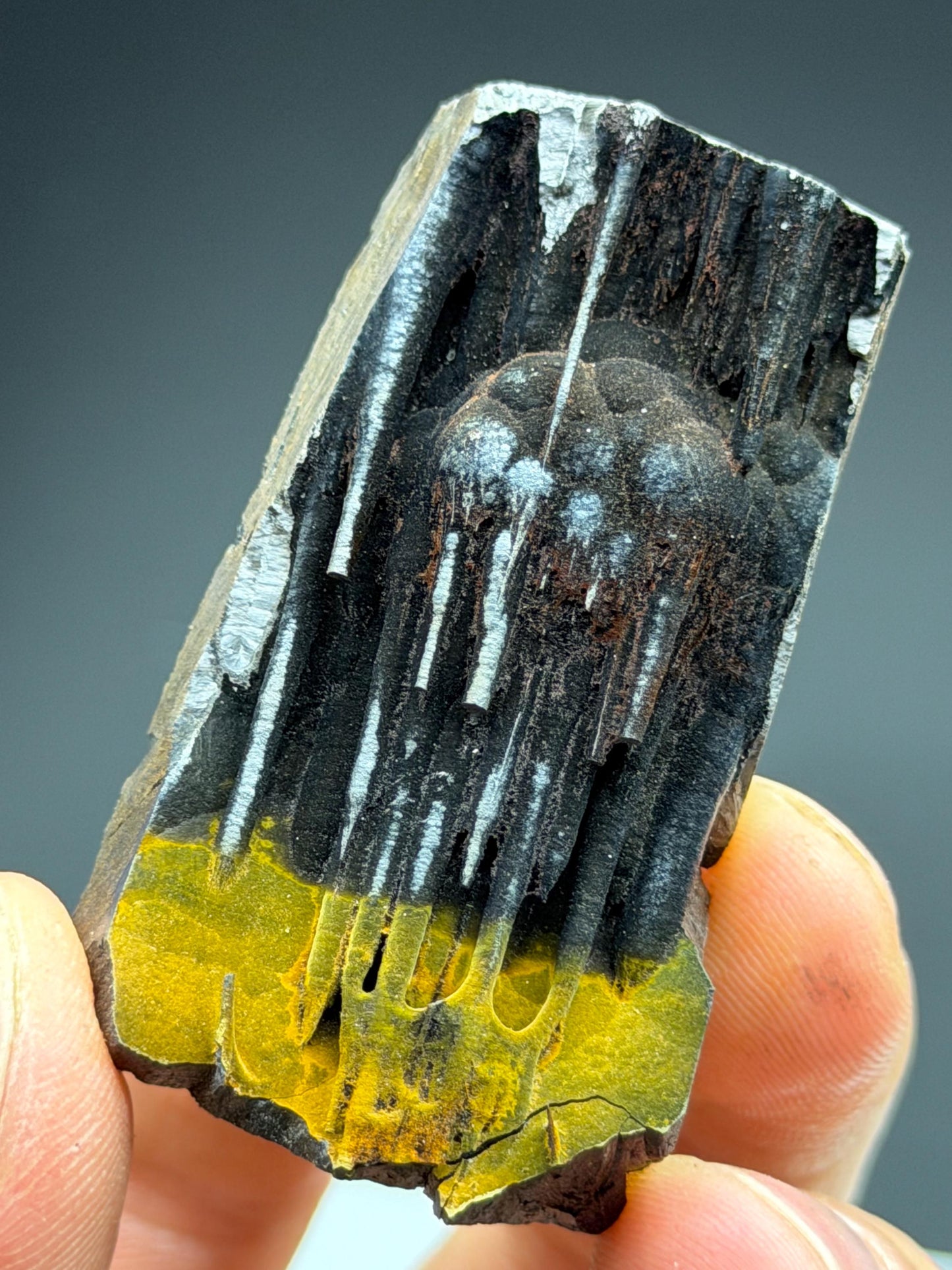Limonite With Stalactite Goethite