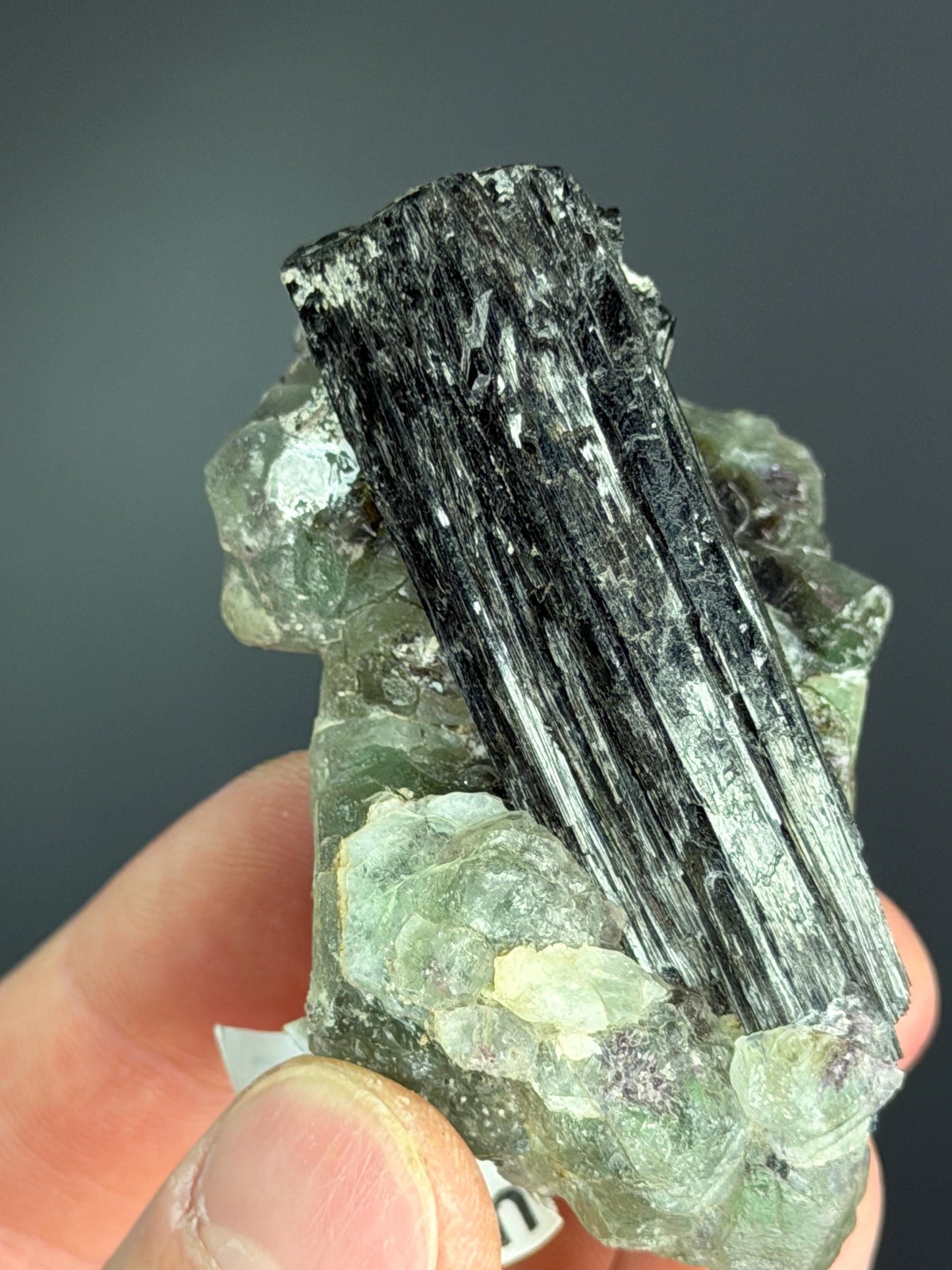 Fluorite On Tourmaline