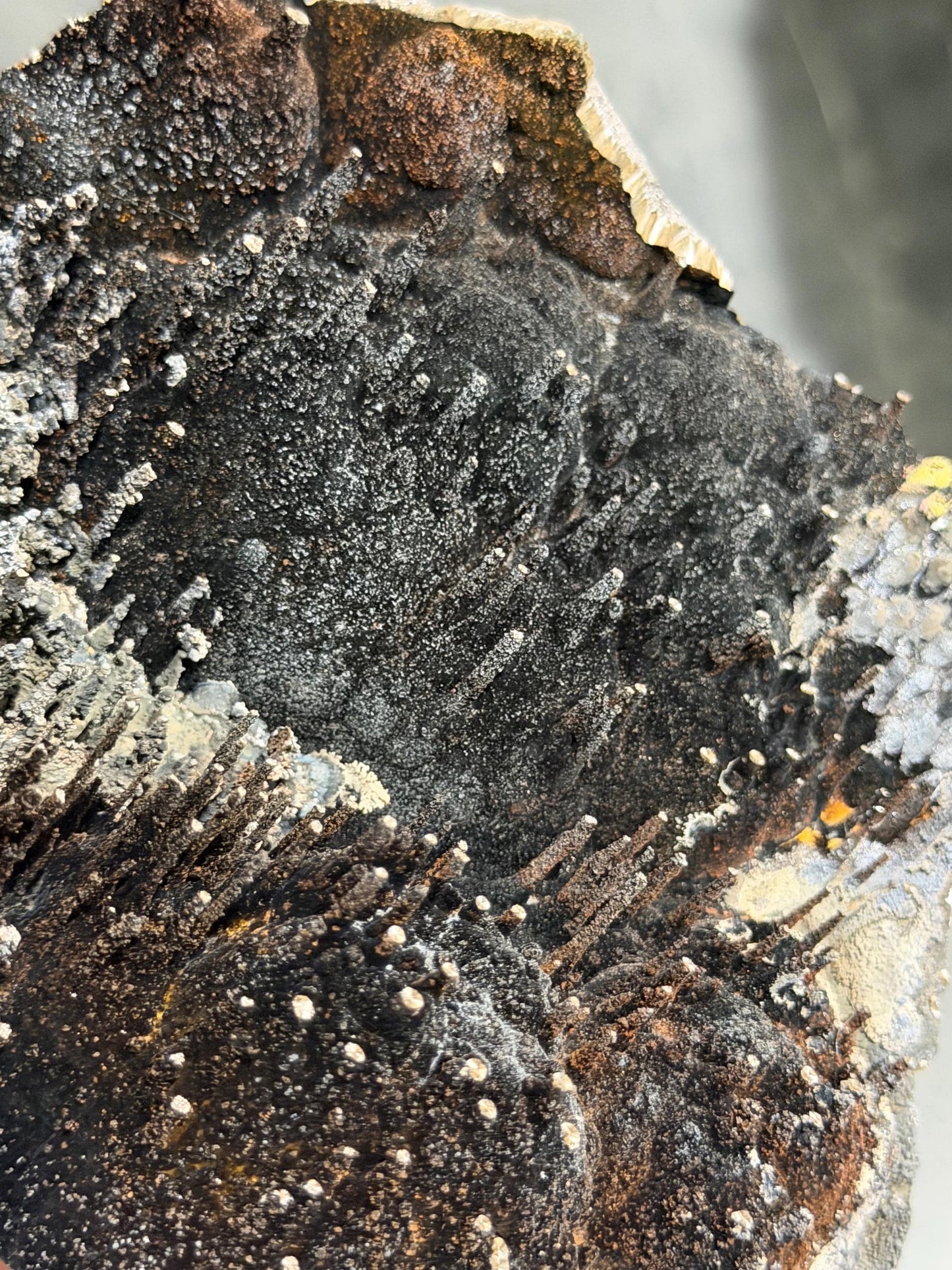Very Showy, Museum Quality Limonite And Specularite With Stalactite Goethite