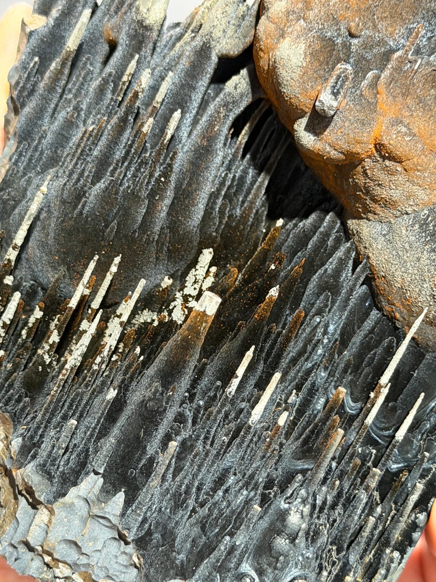 Super Rare! Very Showy Limonite With Velvet Stalactite Goethite, Special Collector Item