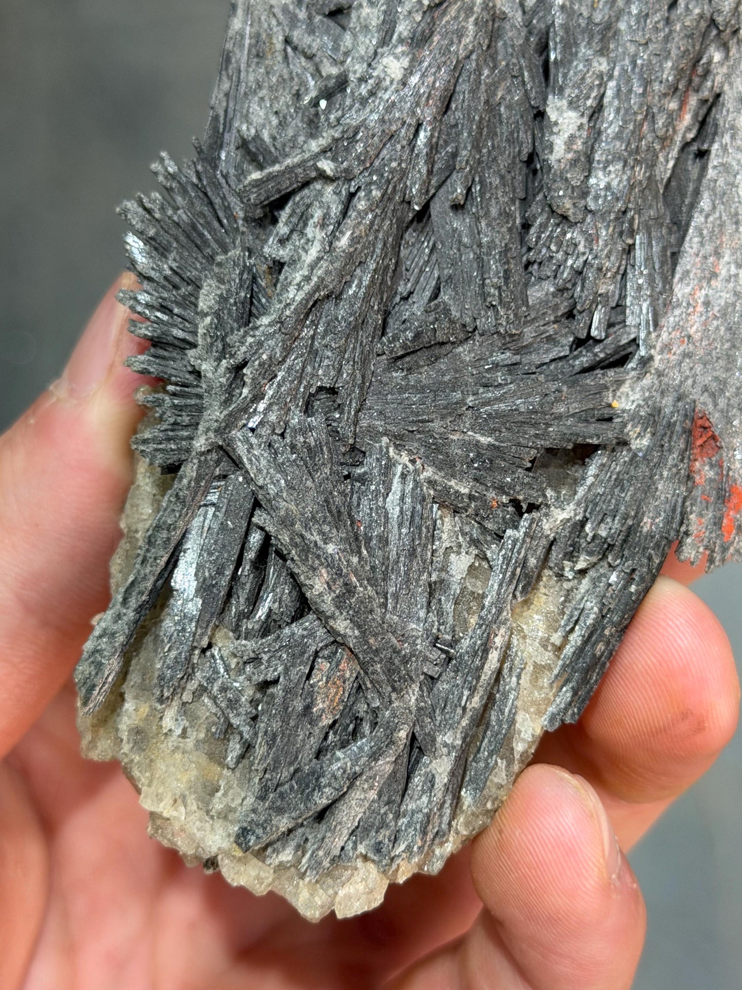 Gray Kyanite Specimen