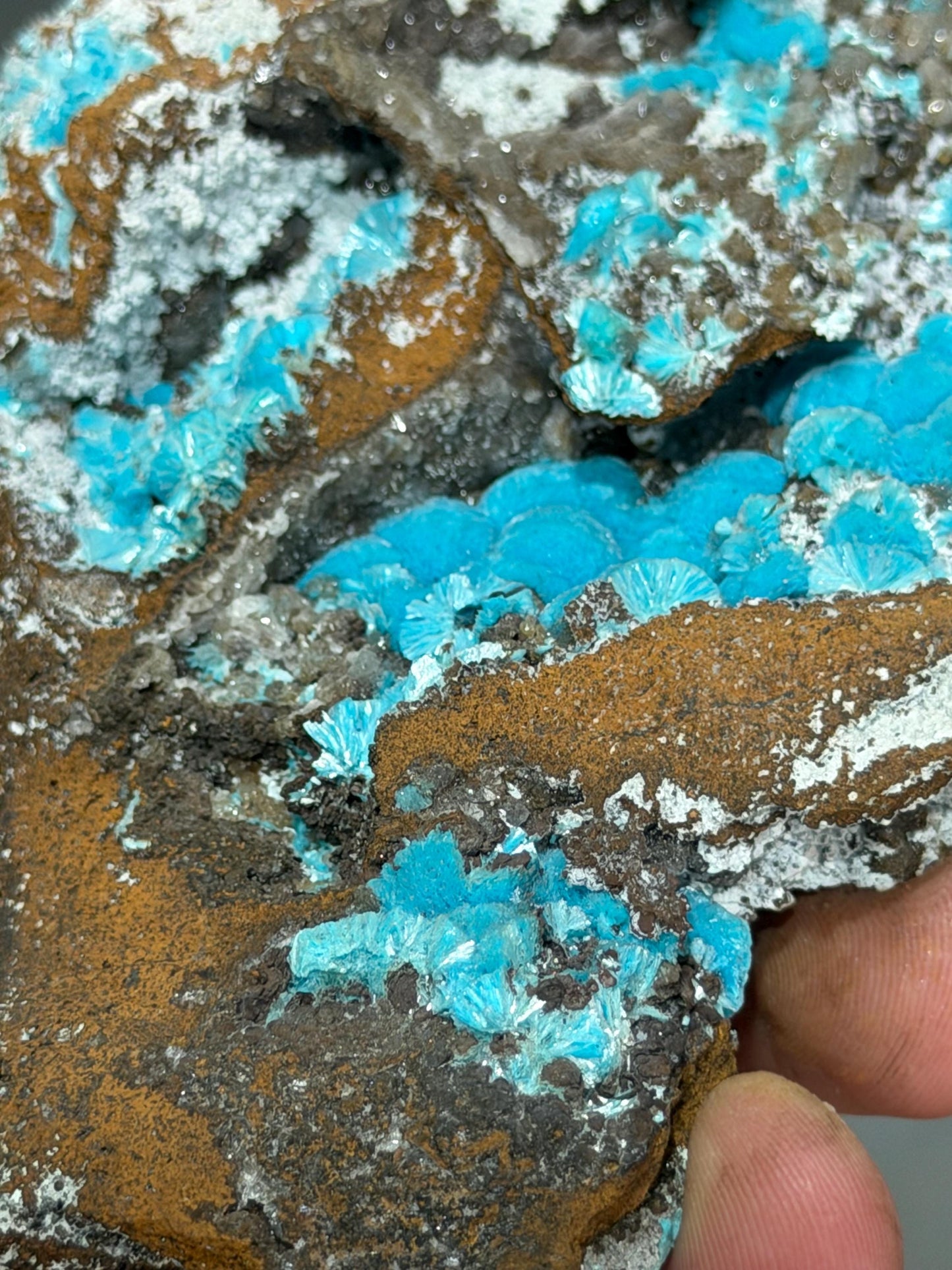 Museum Quality, Showy Aurichalcite Specimen