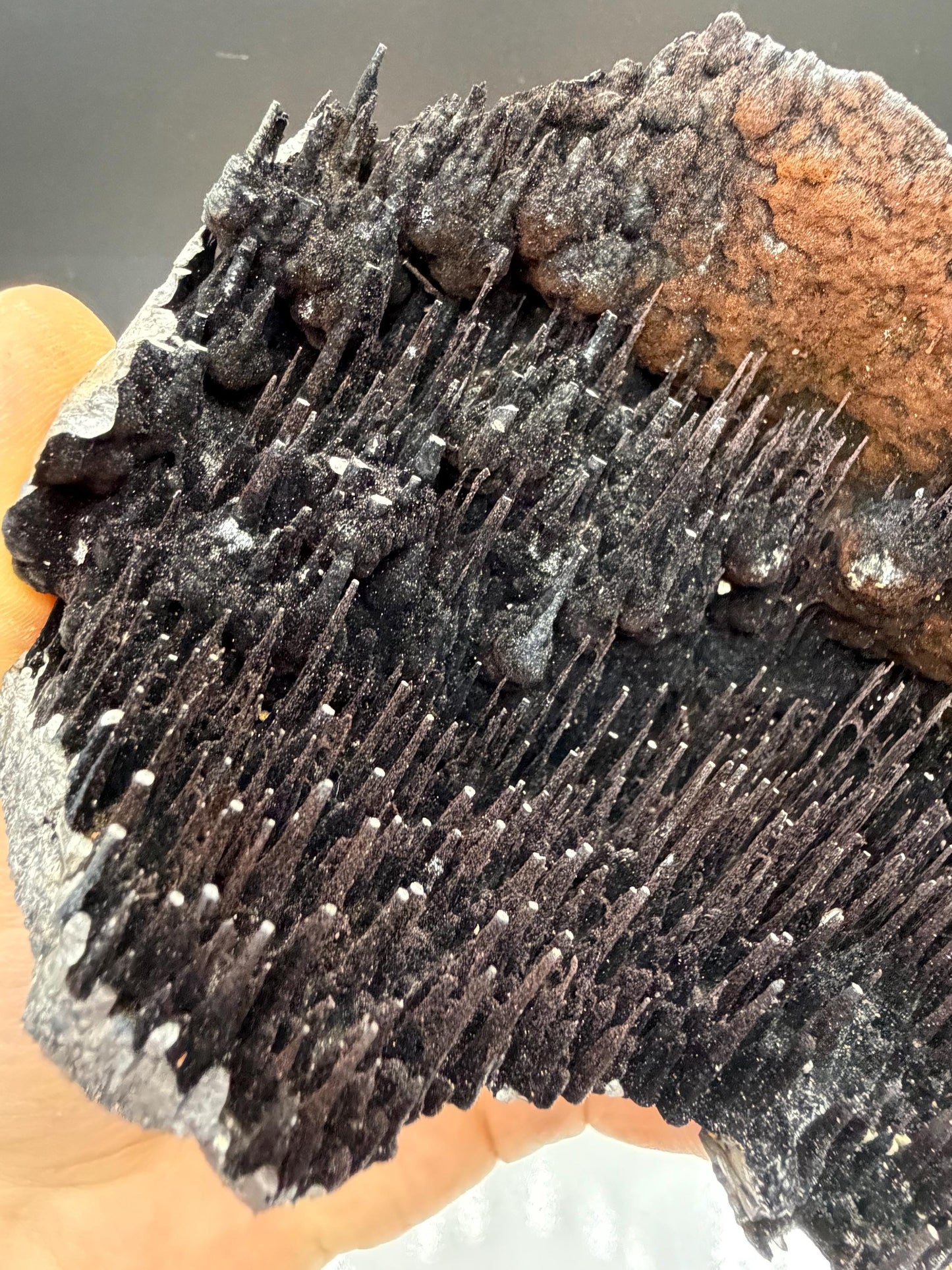 Museum Quality! Limonite With Stalactite Goethite, For Special Collection