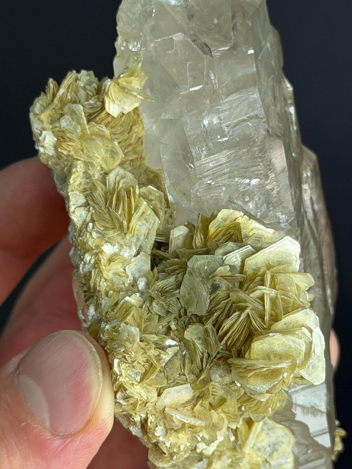 Apatite Mica Quartz