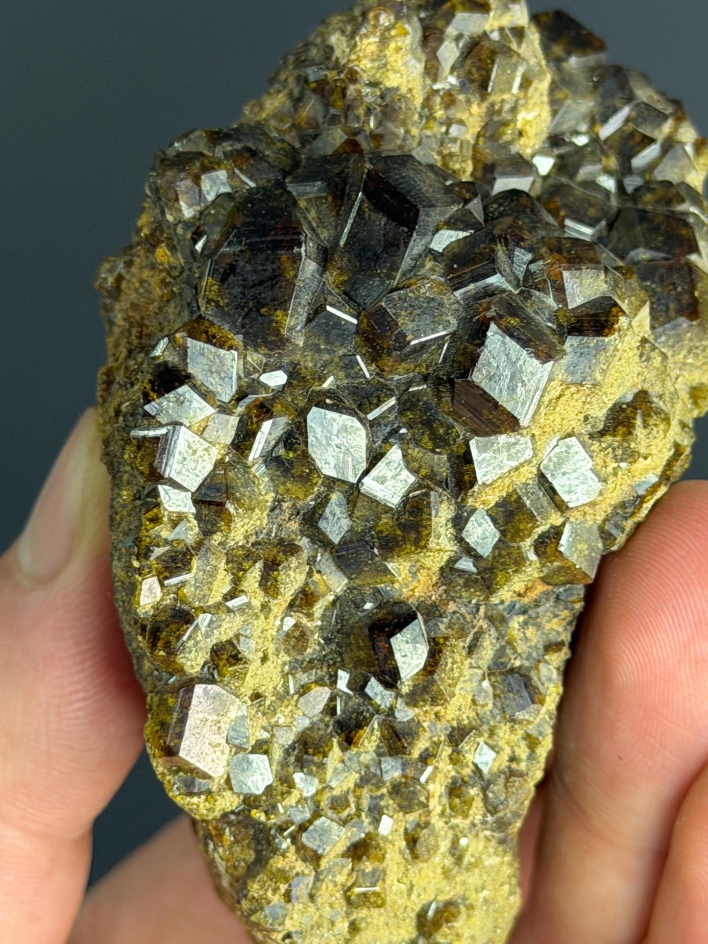 RARE! Andradite Garnet