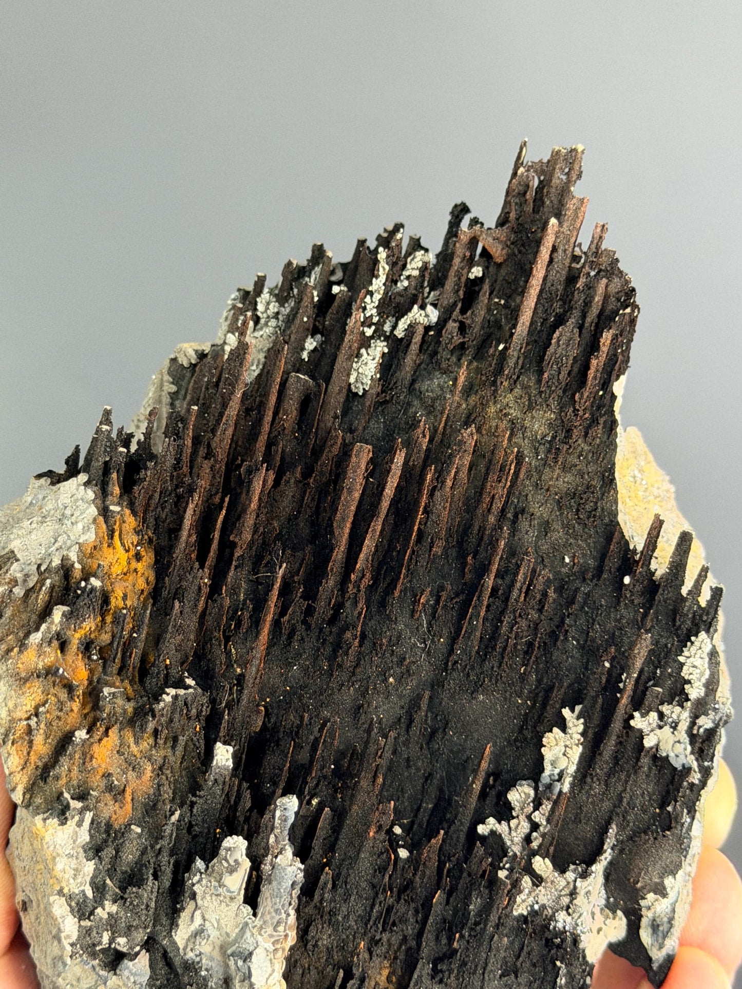 Museum Quality, Limonite And Specularite With Stalactite Goethite