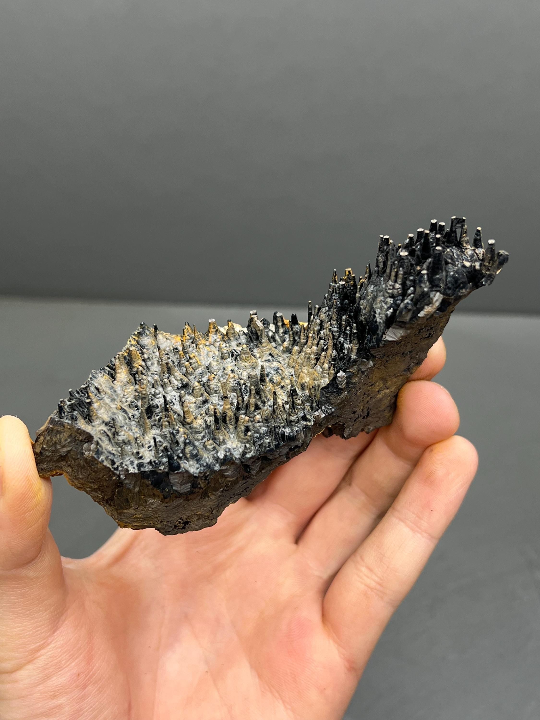 Limonite And Specularite On Stalactite Goethite - Crystal Gemstone AE 