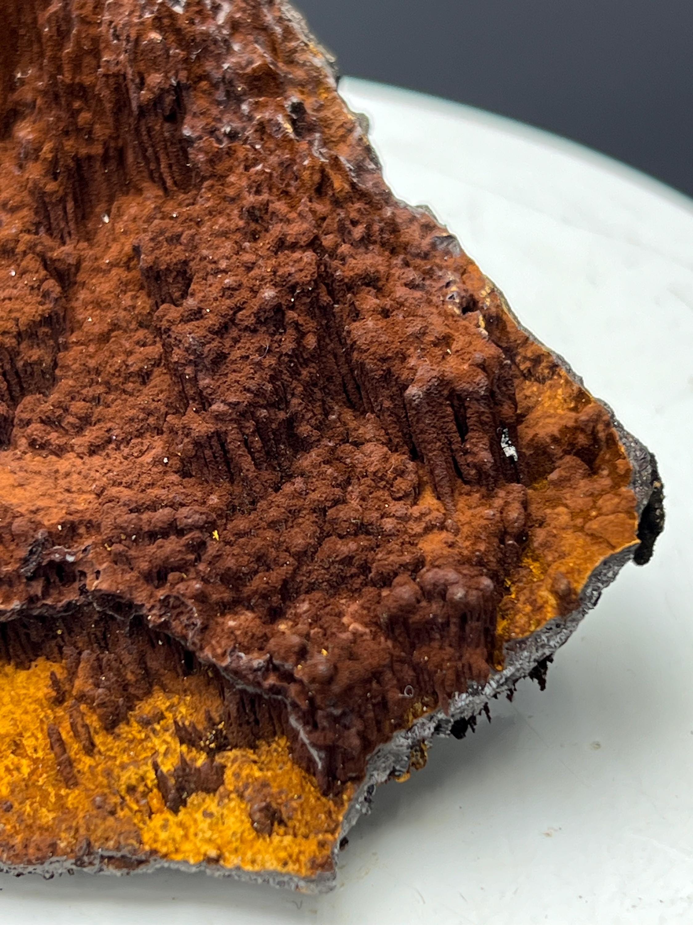 Museum Grade, Limonite With Stalactite Goethite Specimen - Crystal Gemstone AE 