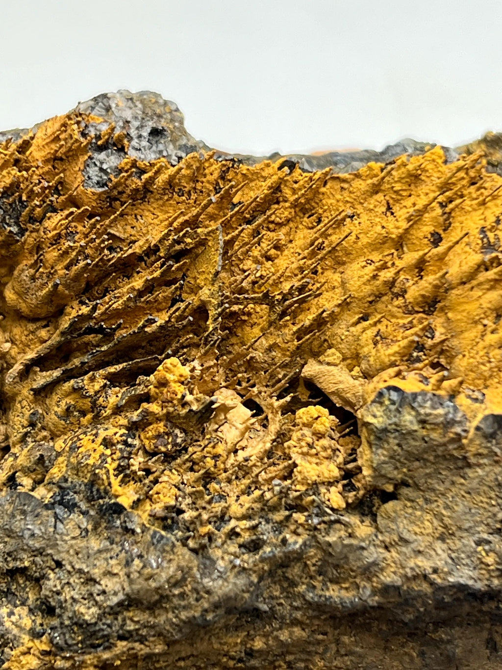 Museum quality, Very showy limonite on stalactite hematite, special collections piece - Crystal Gemstone AE 