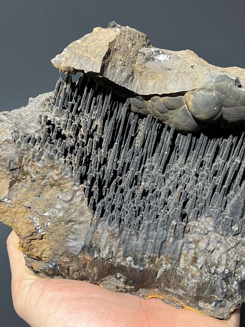 Museum Quality Stalactite Goethite - Crystal Gemstone AE 