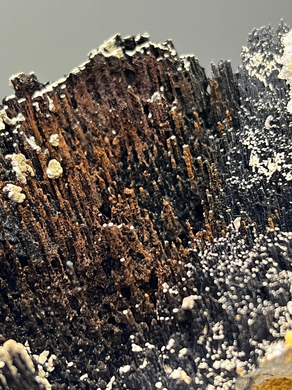 Museum Grade, Very Special Specularite And Limonite With Stalactite Goethite Specimen - Crystal Gemstone AE 