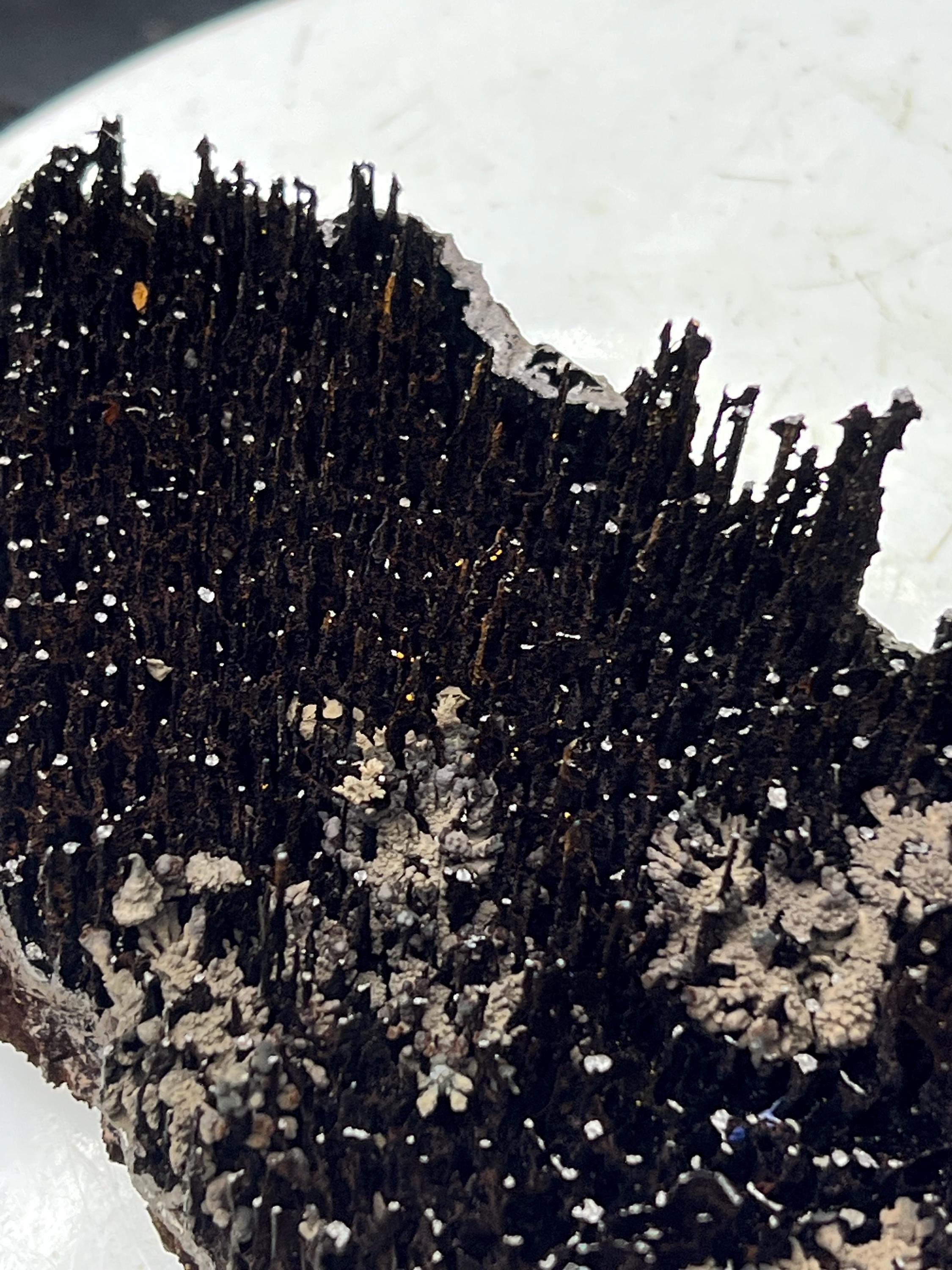 Museum Grade, Very Showy Limonite And Specularite With Stalactite Goethite Specimen - Crystal Gemstone AE 