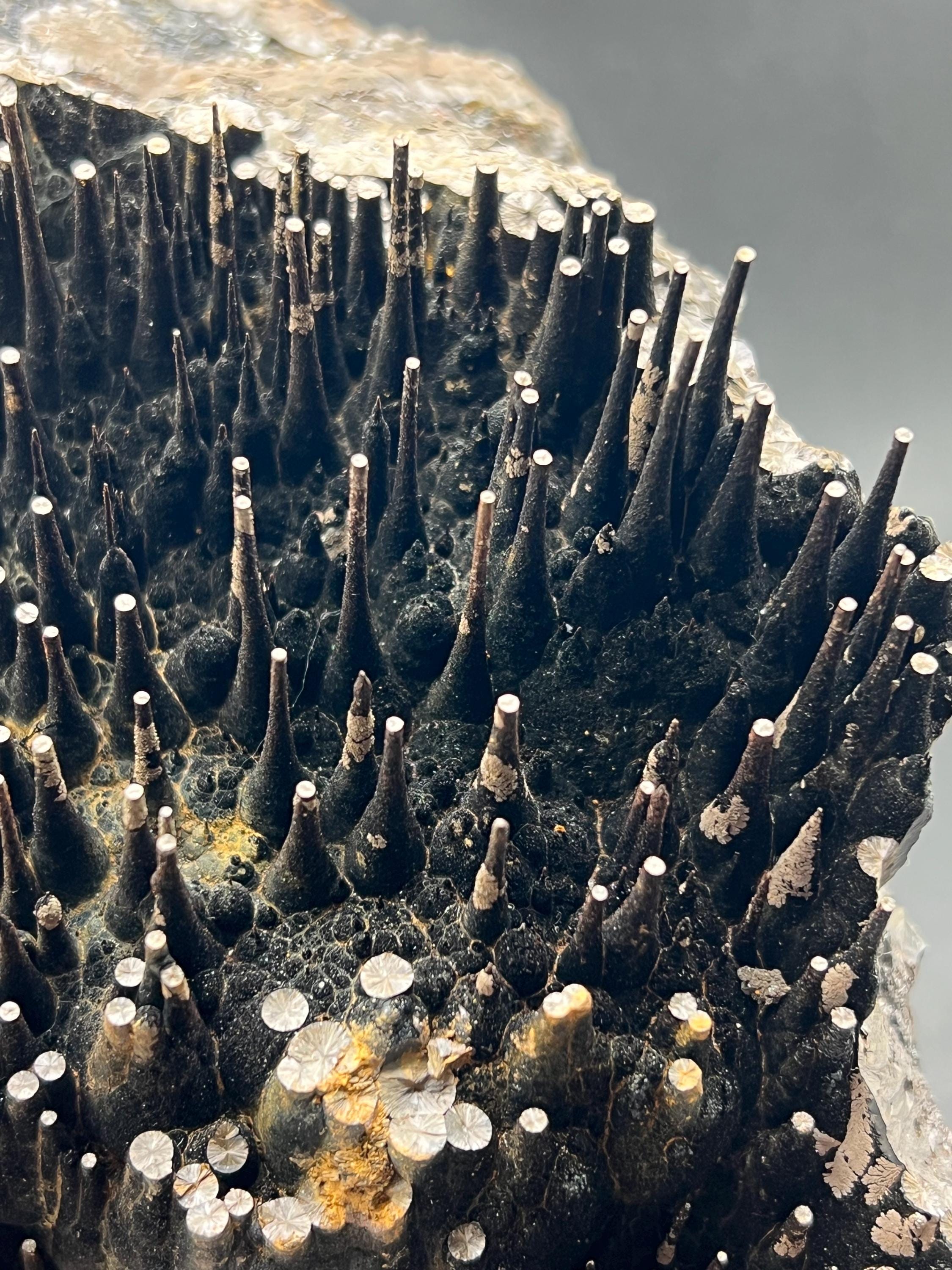 Museum Grade Limonite On Stalactite Goethite - Crystal Gemstone AE 