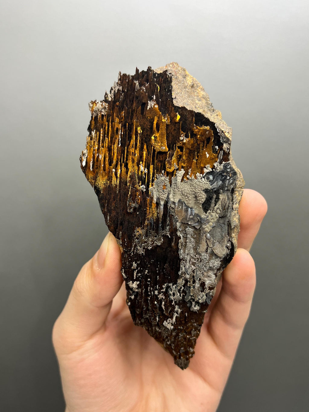 Special Quality Limonite And Specularite On Stalactite Goethite - Crystal Gemstone AE 