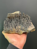 Museum Grade Stalactite Goethite Specimen - Crystal Gemstone AE 