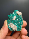 Dioptase With Cerussite - Namibia - Crystal Gemstone AE 