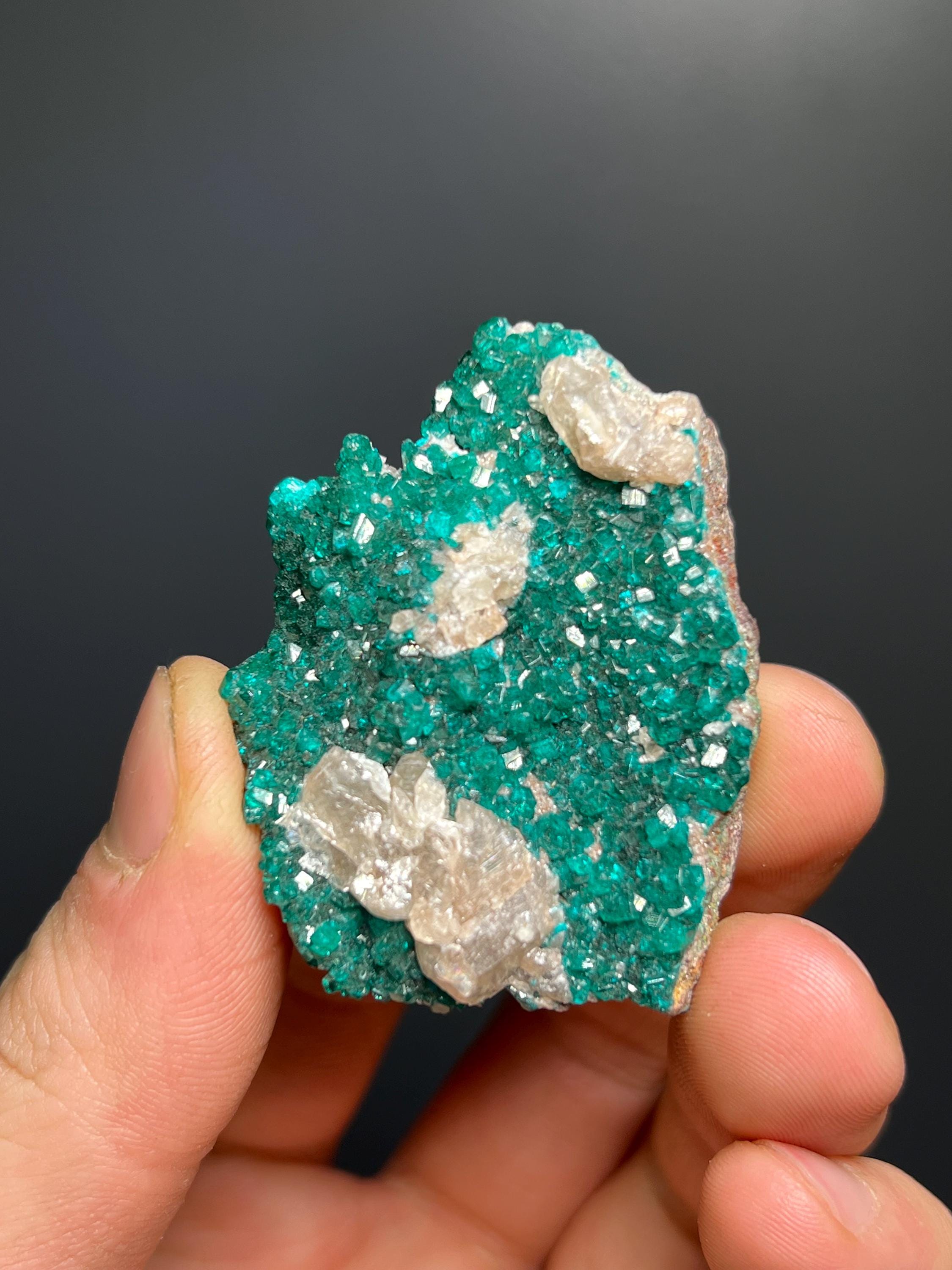 Dioptase With Cerussite - Namibia - Crystal Gemstone AE 