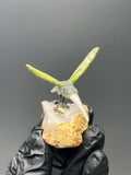 Natural Stone Bird On Chalcedony Stone - Crystal Gemstone AE 