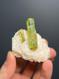 Apatite Crystals In Calcite Specimen, 98gram - Crystal Gemstone AE 