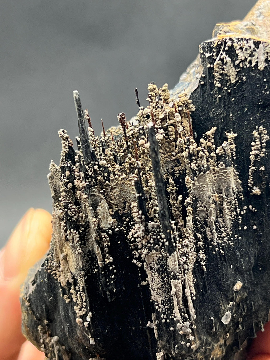 Showy Limonite And Specularite On Stalactite Goethite - Crystal Gemstone AE 