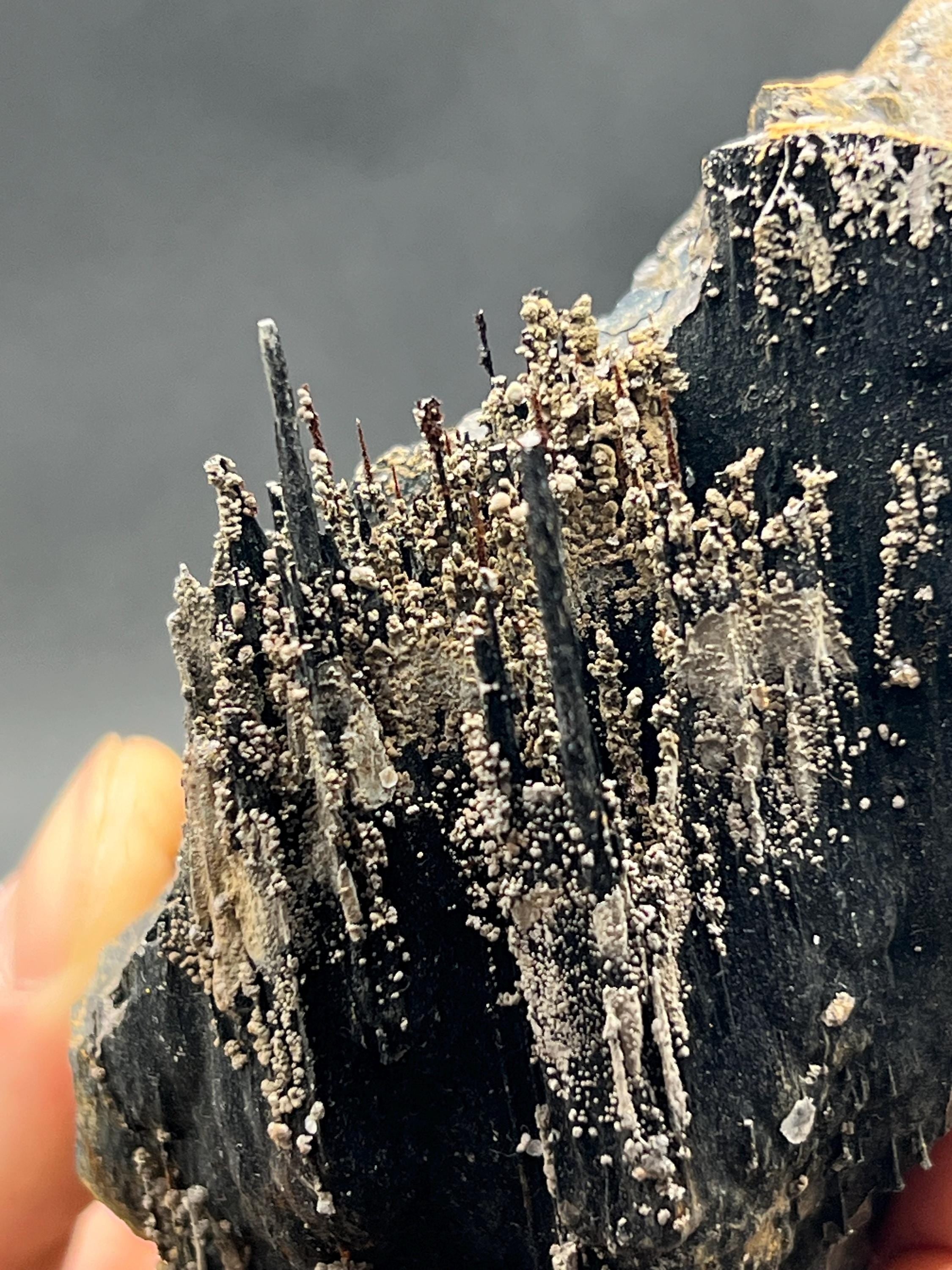 Showy Limonite And Specularite On Stalactite Goethite - Crystal Gemstone AE 