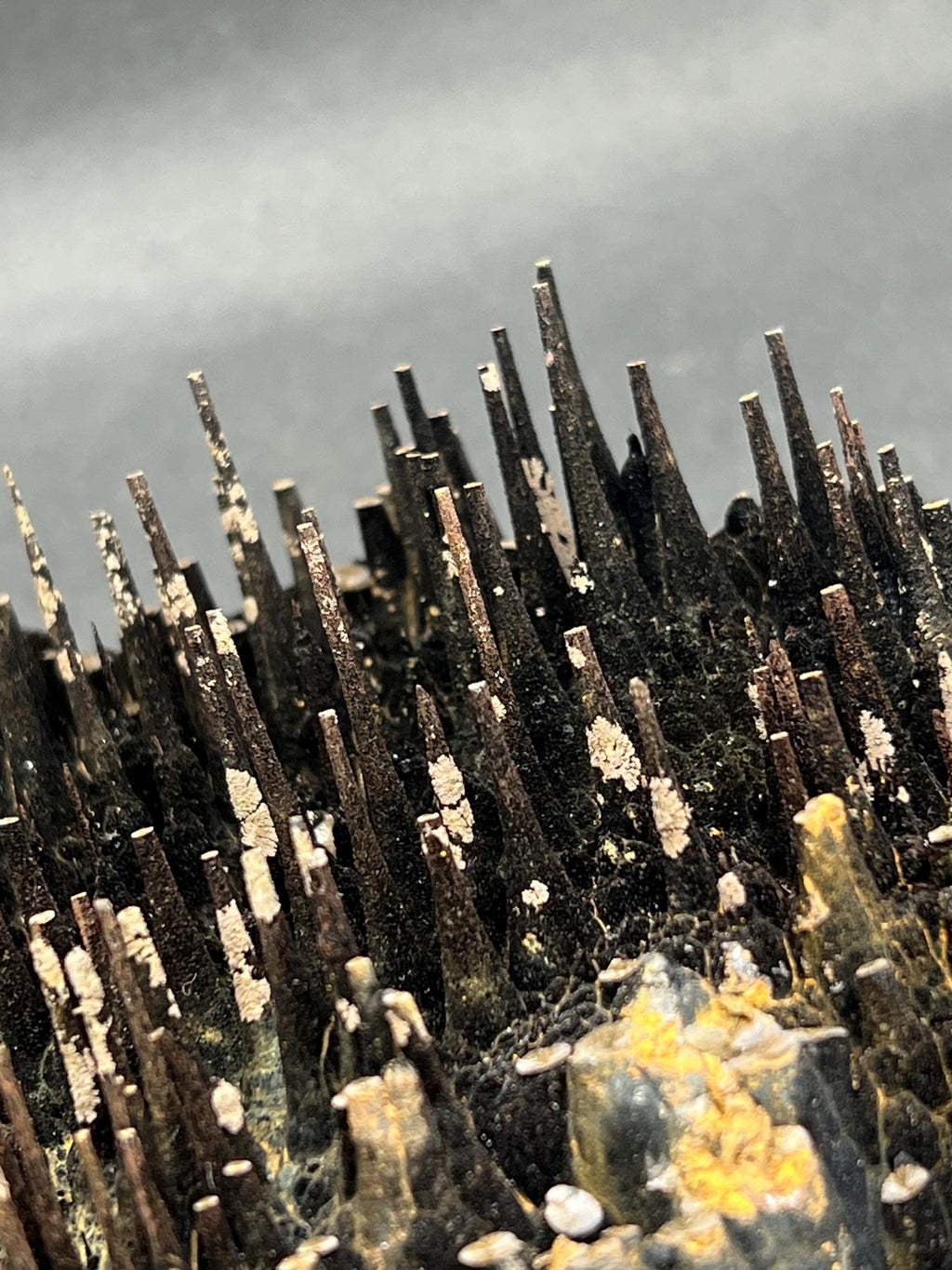 Museum Grade Limonite On Stalactite Goethite - Crystal Gemstone AE 