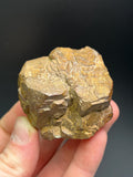 Limonite Pseudomorph After Pyrite - Crystal Gemstone AE 