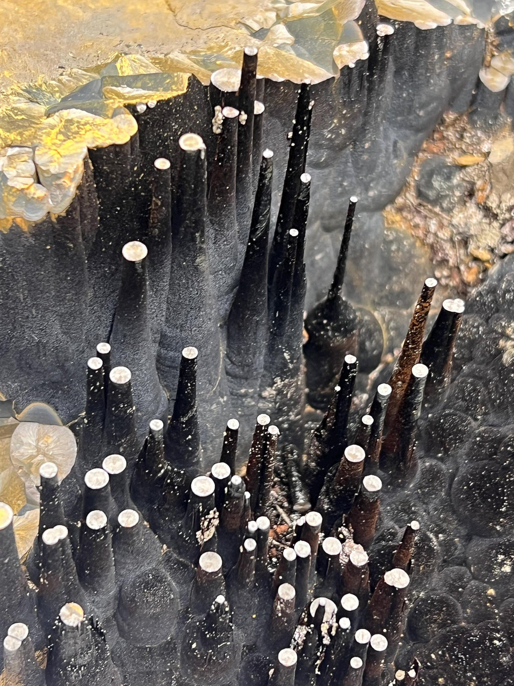 Museum Quality, Large Size Limonite On Stalactite Goethite, For Special Collections - Crystal Gemstone AE 