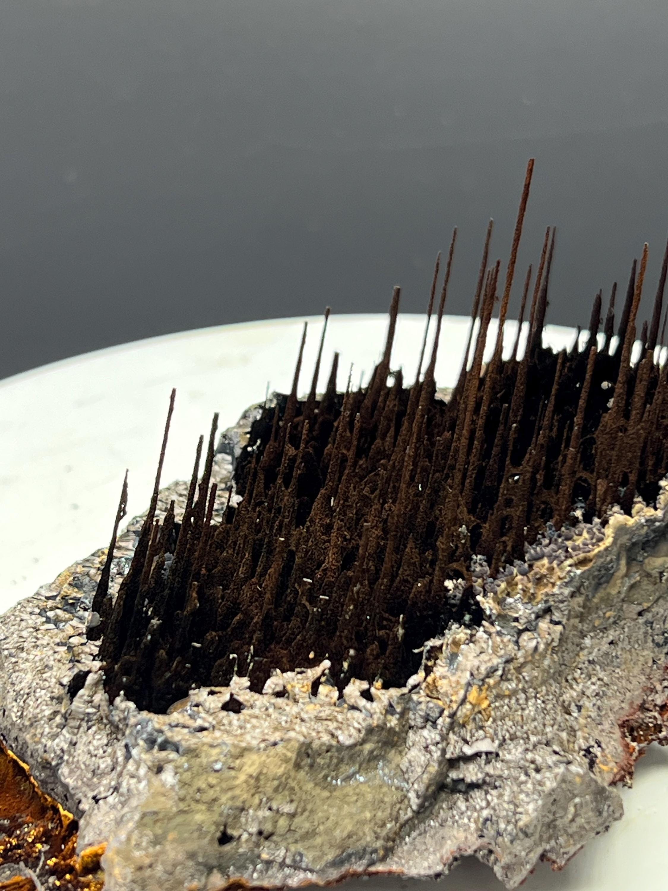 Museum Grade, Limonite With Stalactite Forest Goethite, For Special Collection - Crystal Gemstone AE 