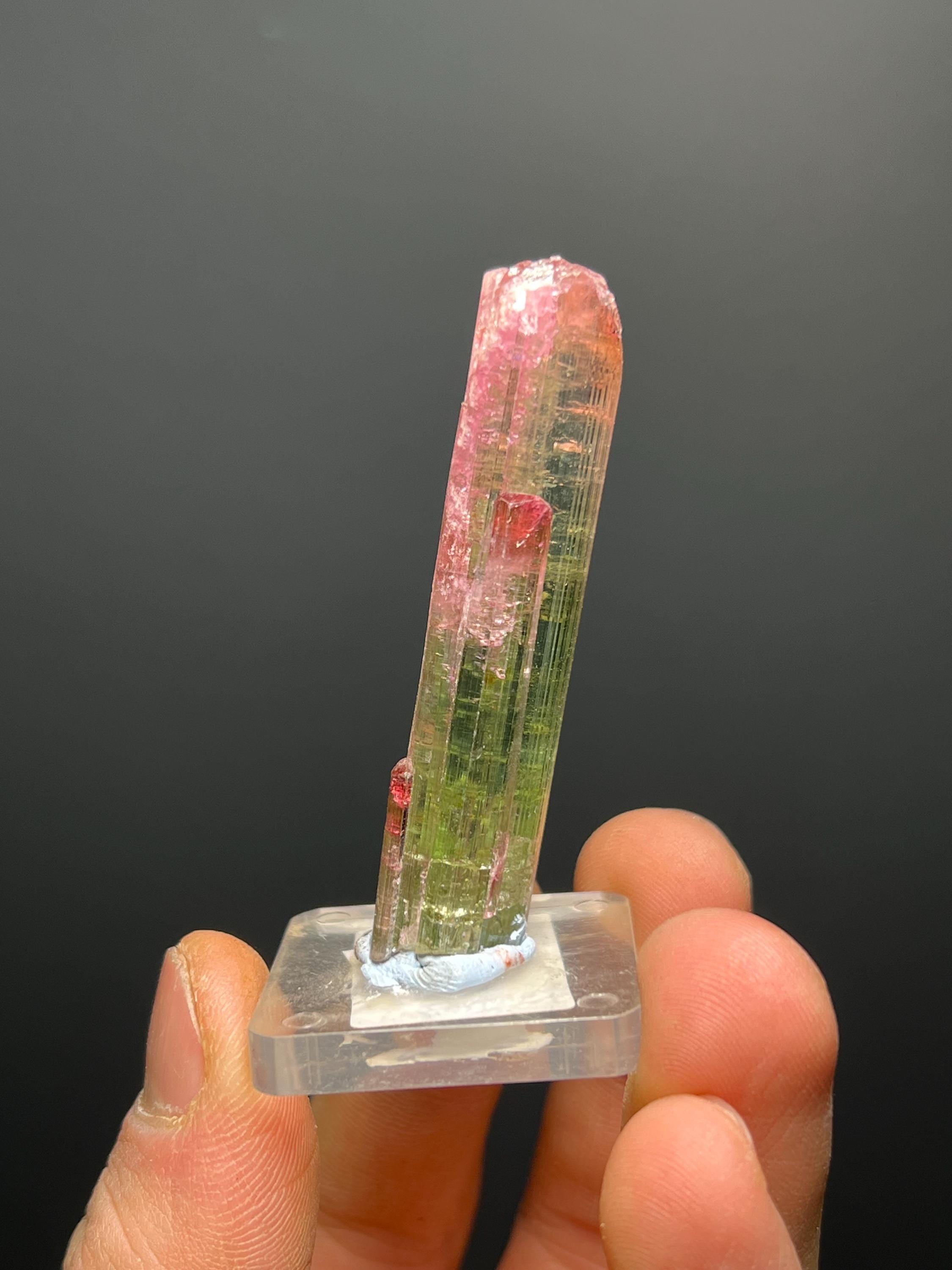 Special Elbaite Tourmaline Specimen - Crystal Gemstone AE 