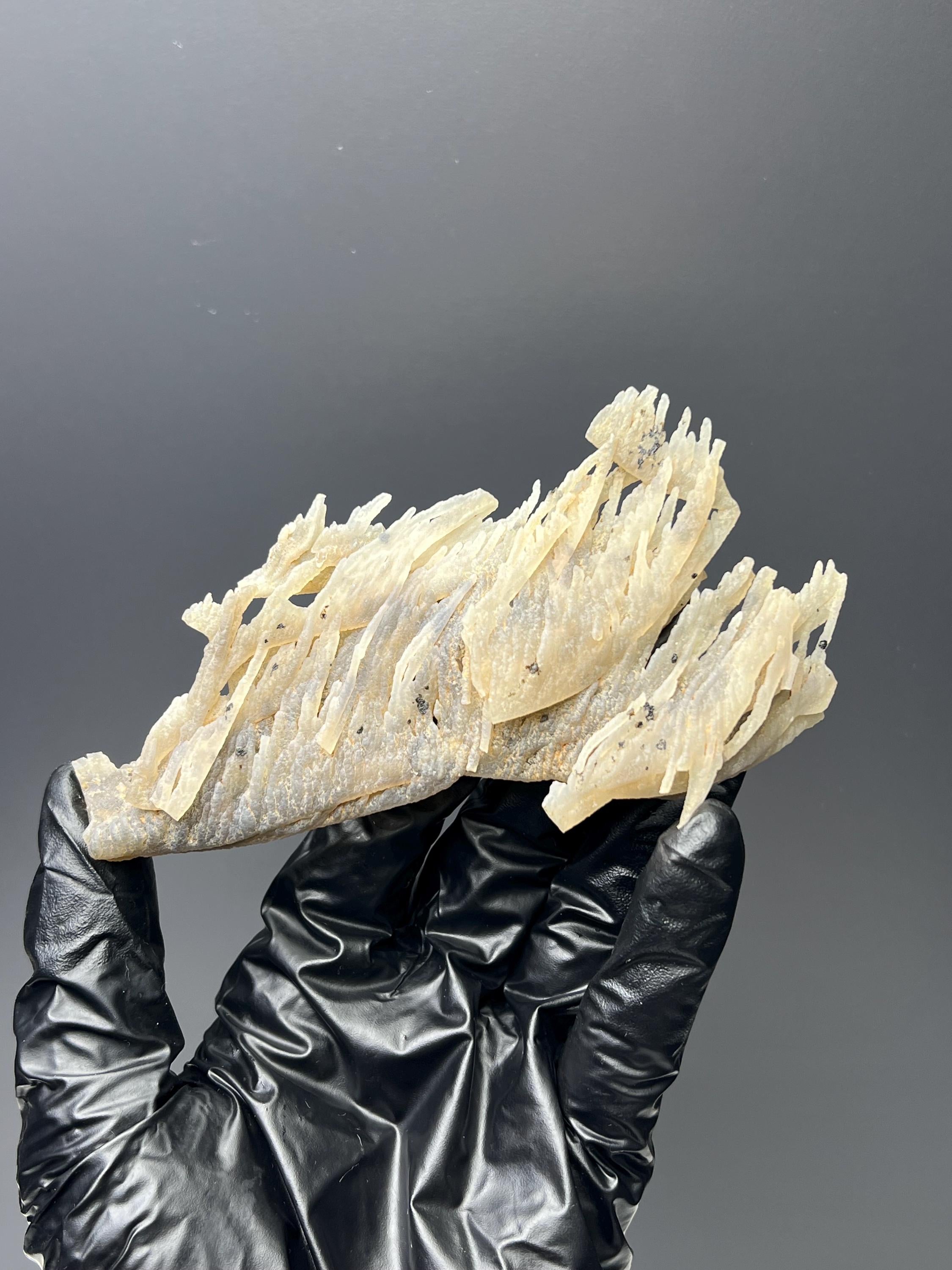 Special Stalactite Chalcedony Specimen - Crystal Gemstone AE 