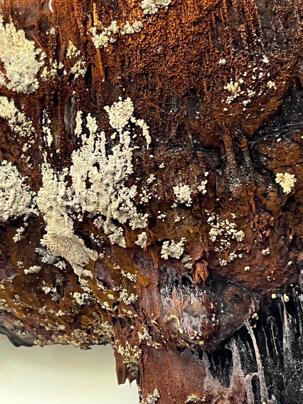 Museum Grade, Limonite And Specularite With Stalactite Goethite Specimen, For Special Collection Piece! - Crystal Gemstone AE 
