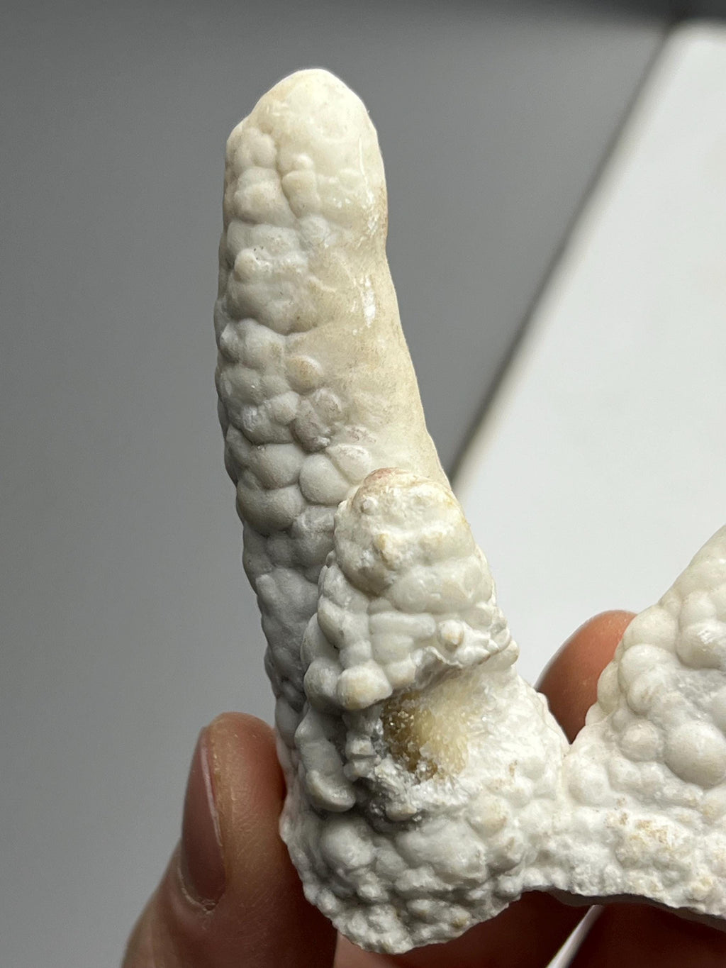 Very Special And Very Showy Stalactite Aragonite Mineral, From Turkey - Crystal Gemstone AE 