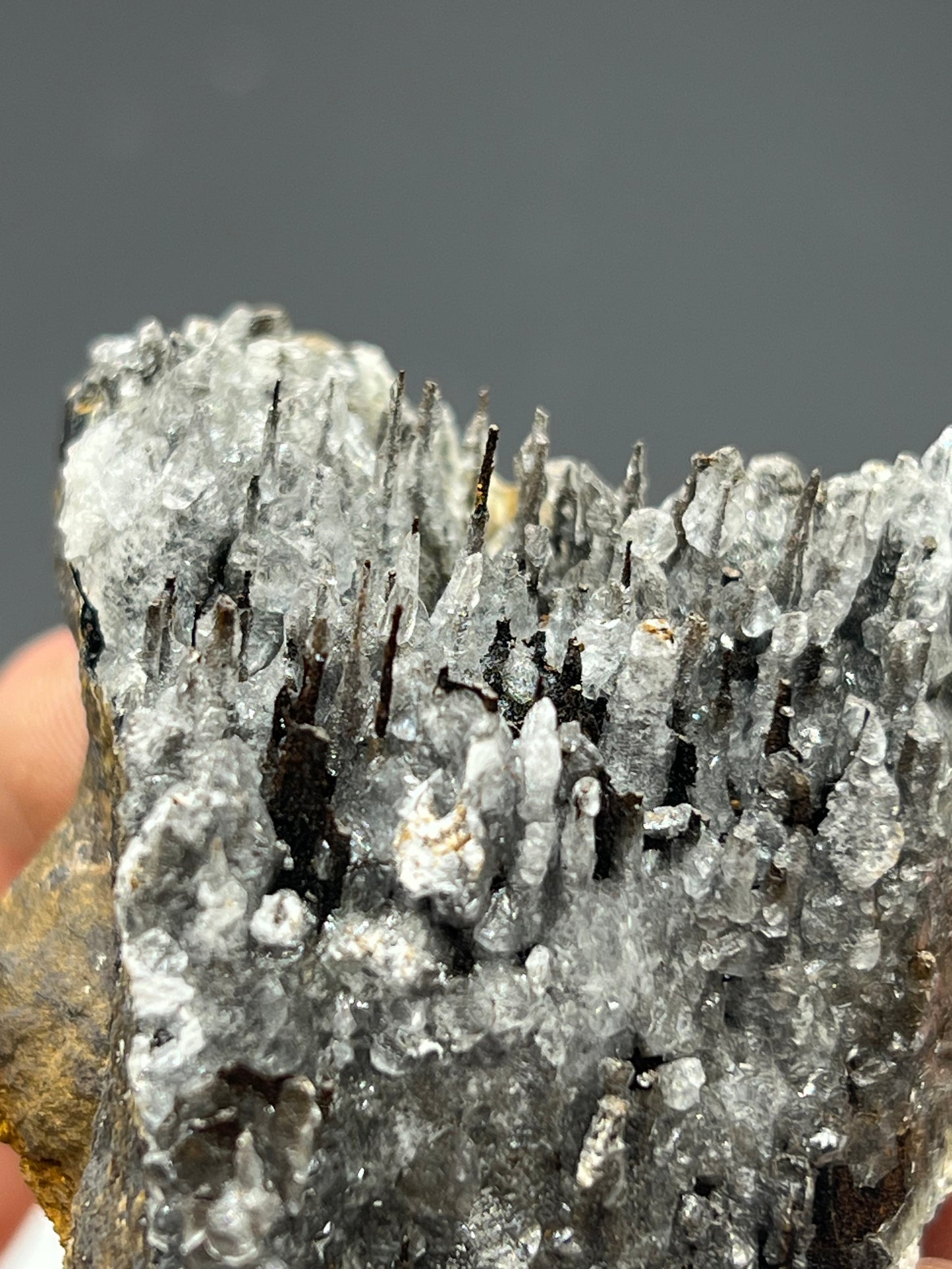 Museum Quality! Crystal Calcite On Stalactite Hematite