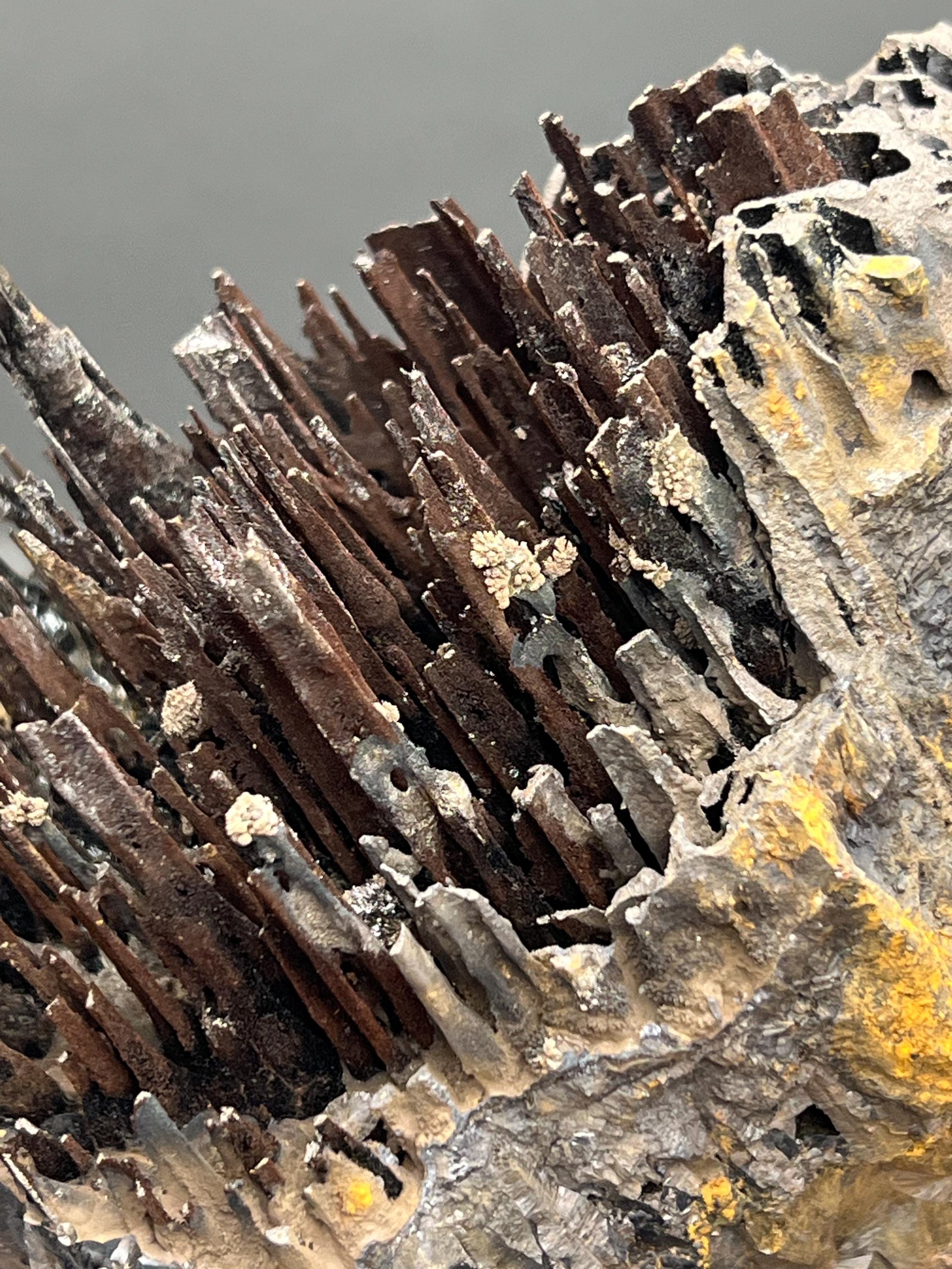 Museum Quality, Very Showy Limonite On Stalactite Goethite, For Special Collections - Crystal Gemstone AE 