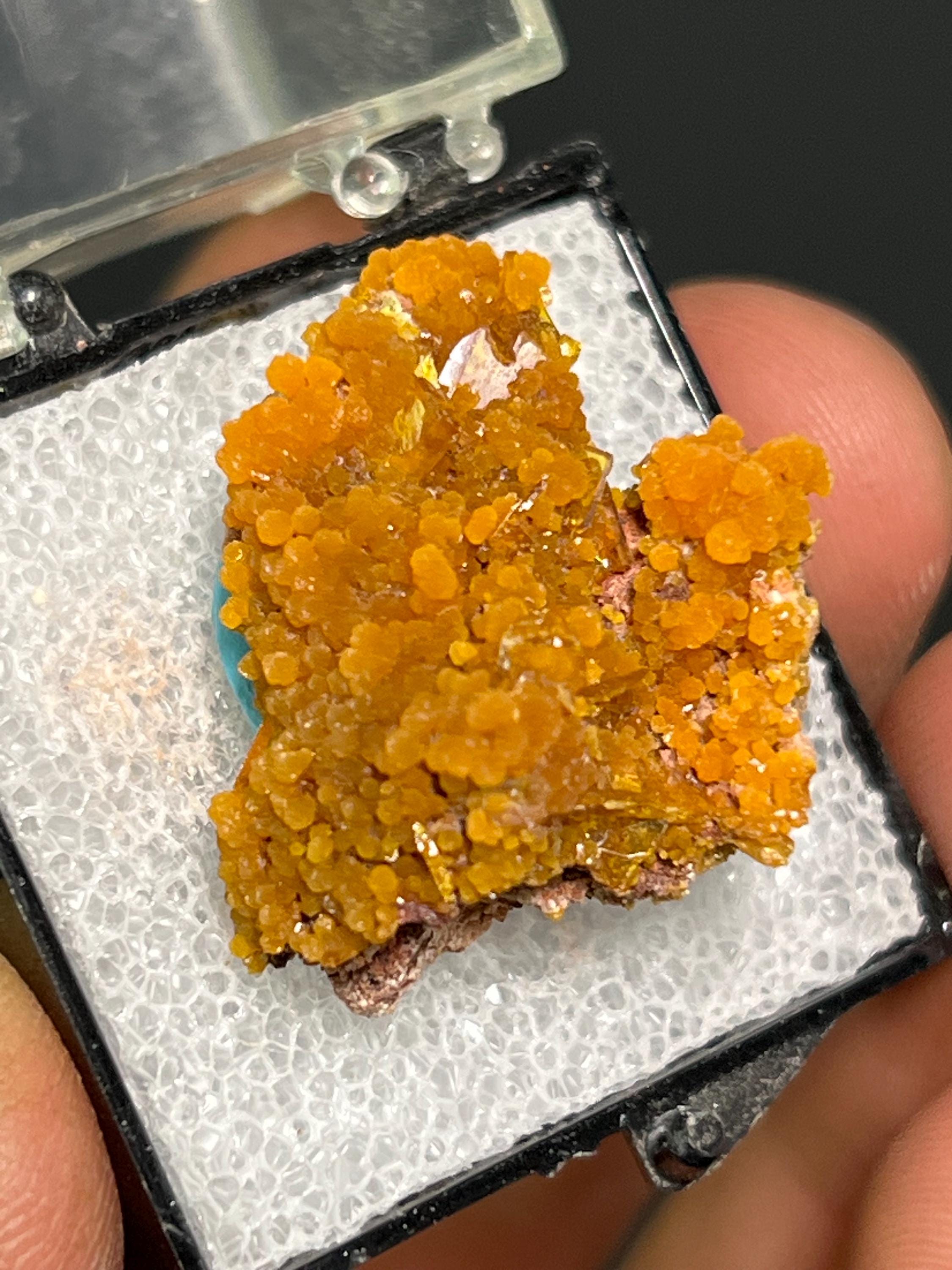 Museum Grade! Wulfenite On Mimetite Specimen - Crystal Gemstone AE 