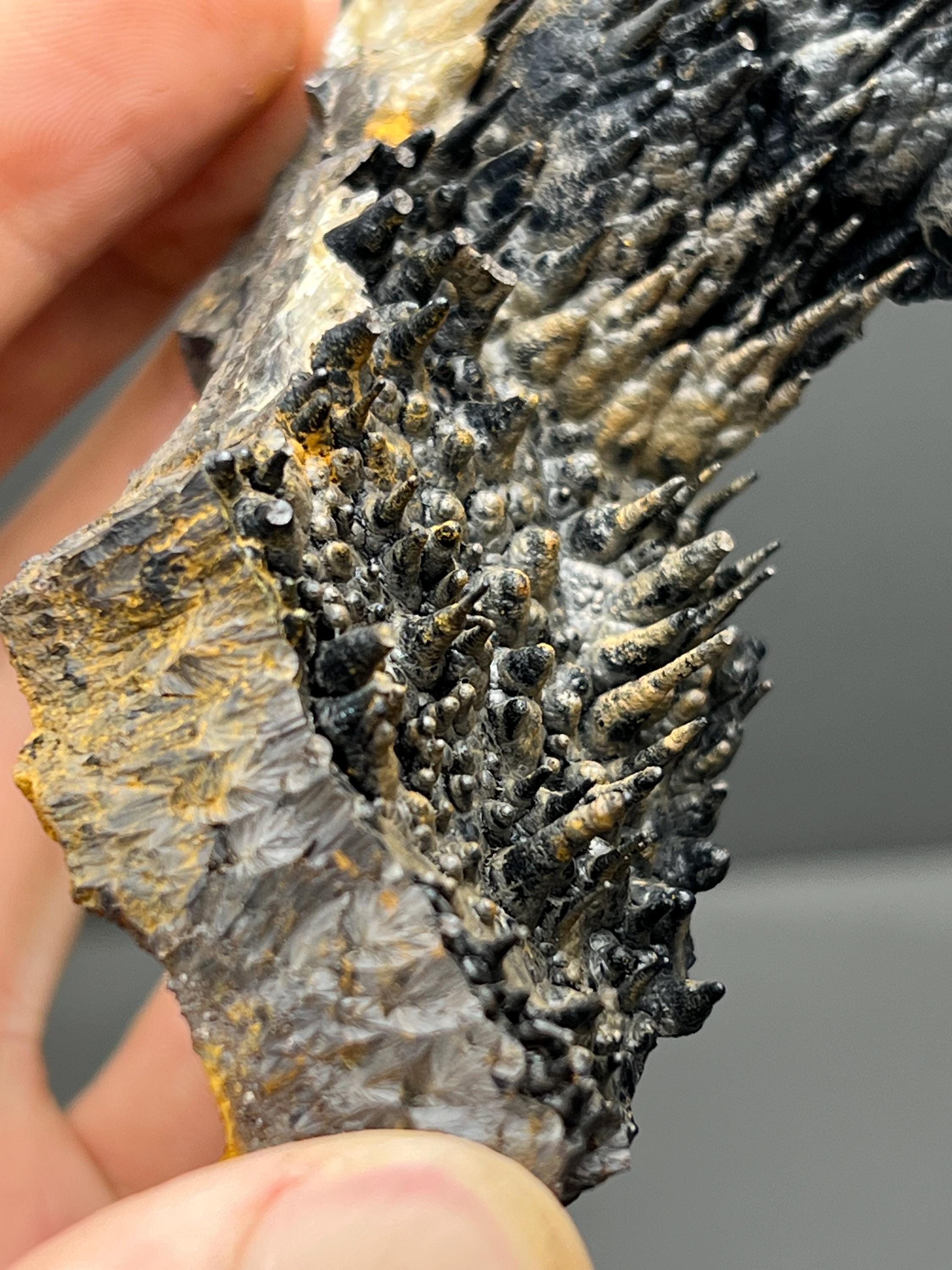 Limonite And Specularite On Stalactite Goethite - Crystal Gemstone AE 