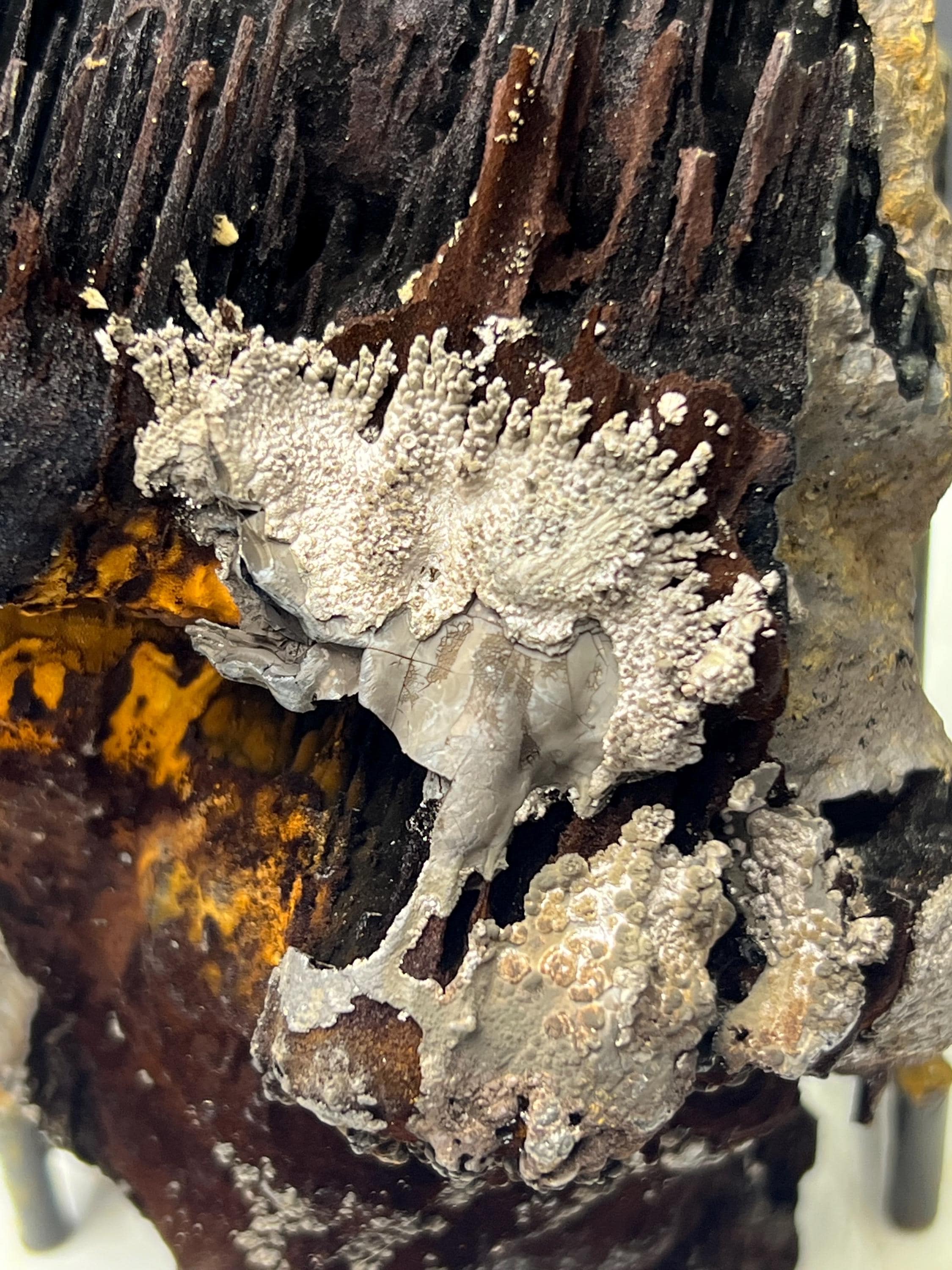 Museum Grade, Very Showy Limonite And Specularite With Stalactite Goethite Specimen - Crystal Gemstone AE 