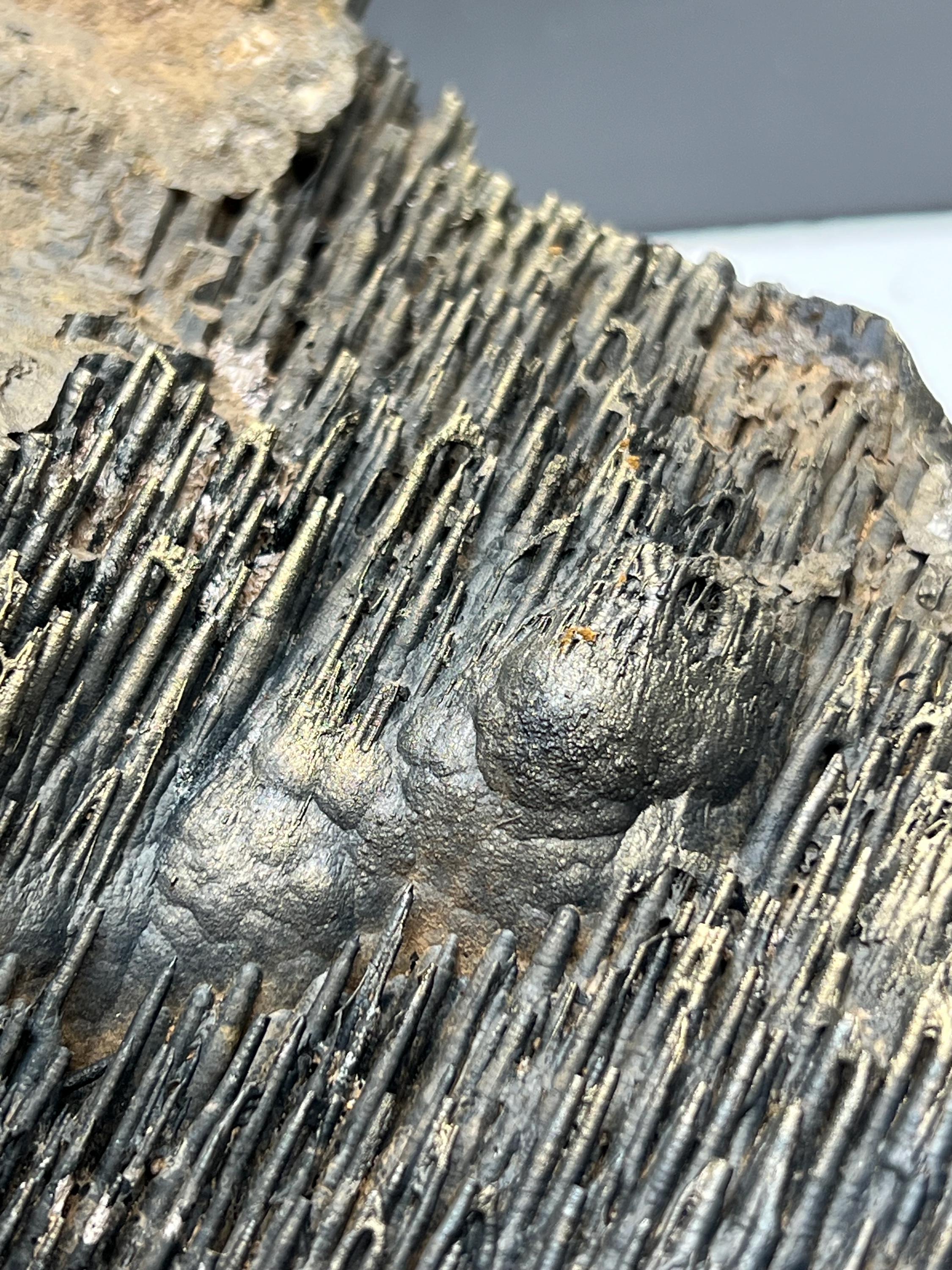 Museum quality, Extra Large Golden Color Stalactite Goethite, From Turkey, Very Special Collection Piece - Crystal Gemstone AE 