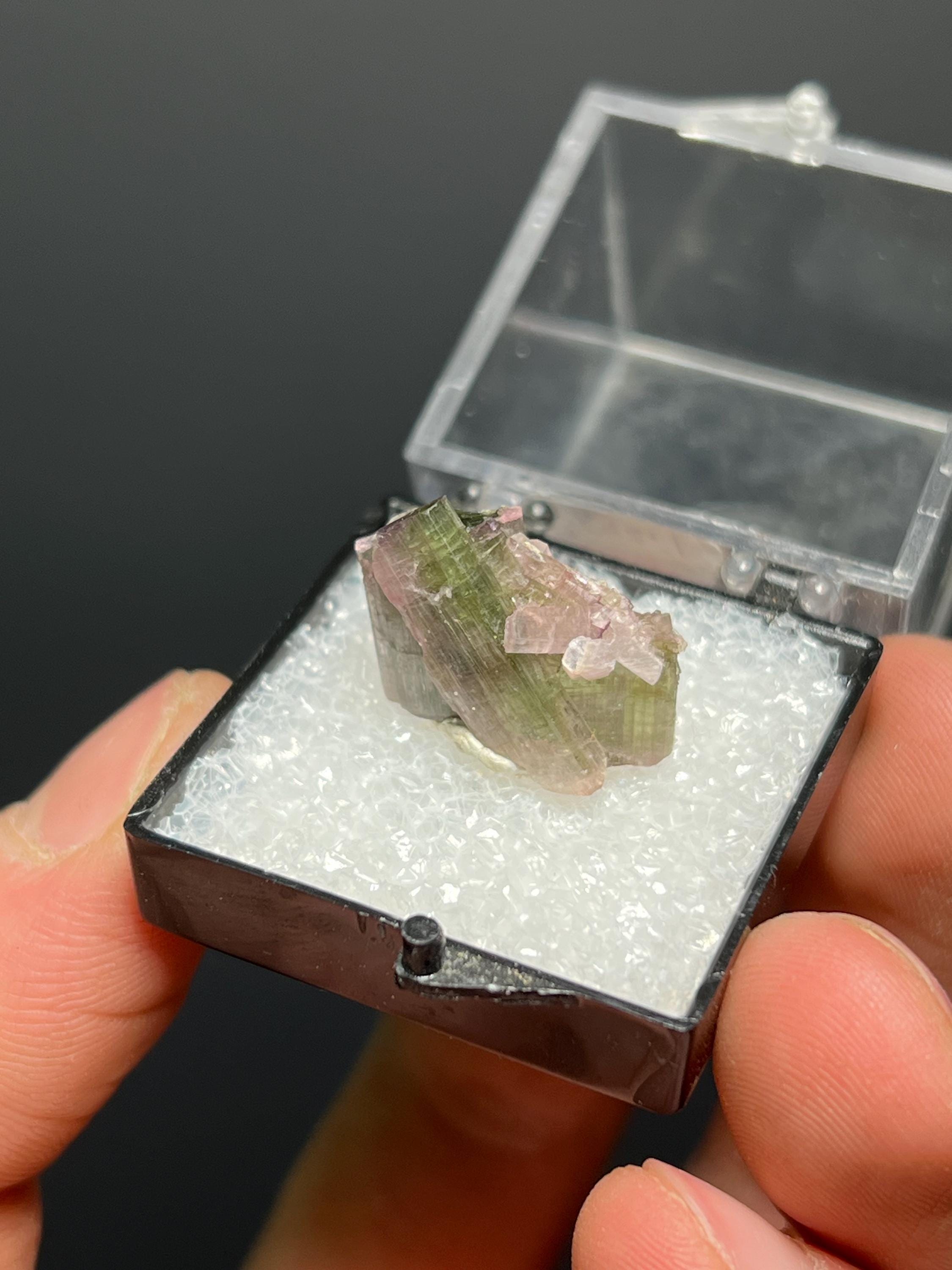 Elbaite Tourmaline Specimen - Crystal Gemstone AE 