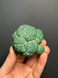 Malachite Specimen - Congo - Crystal Gemstone AE 