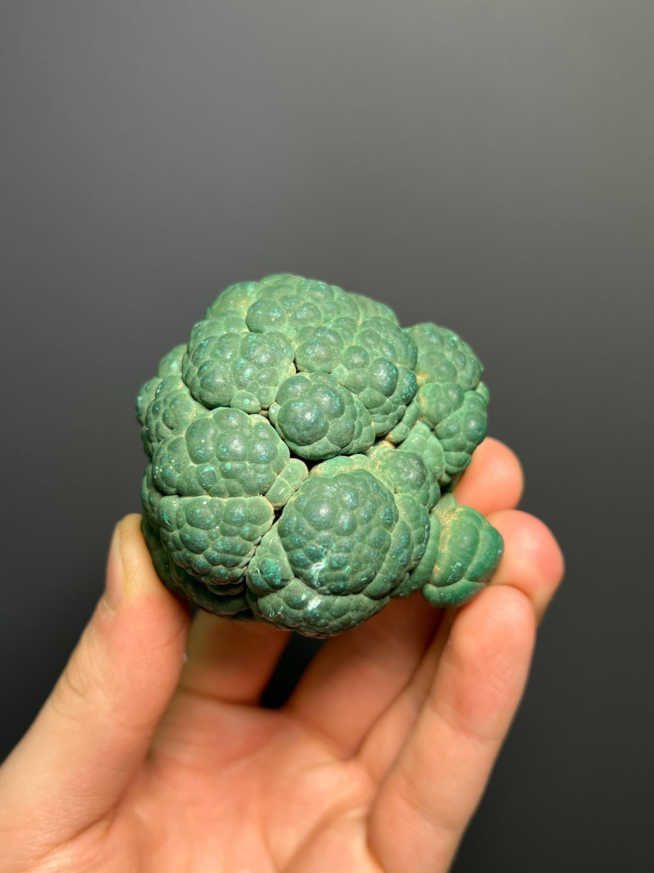 Malachite Specimen - Congo - Crystal Gemstone AE 