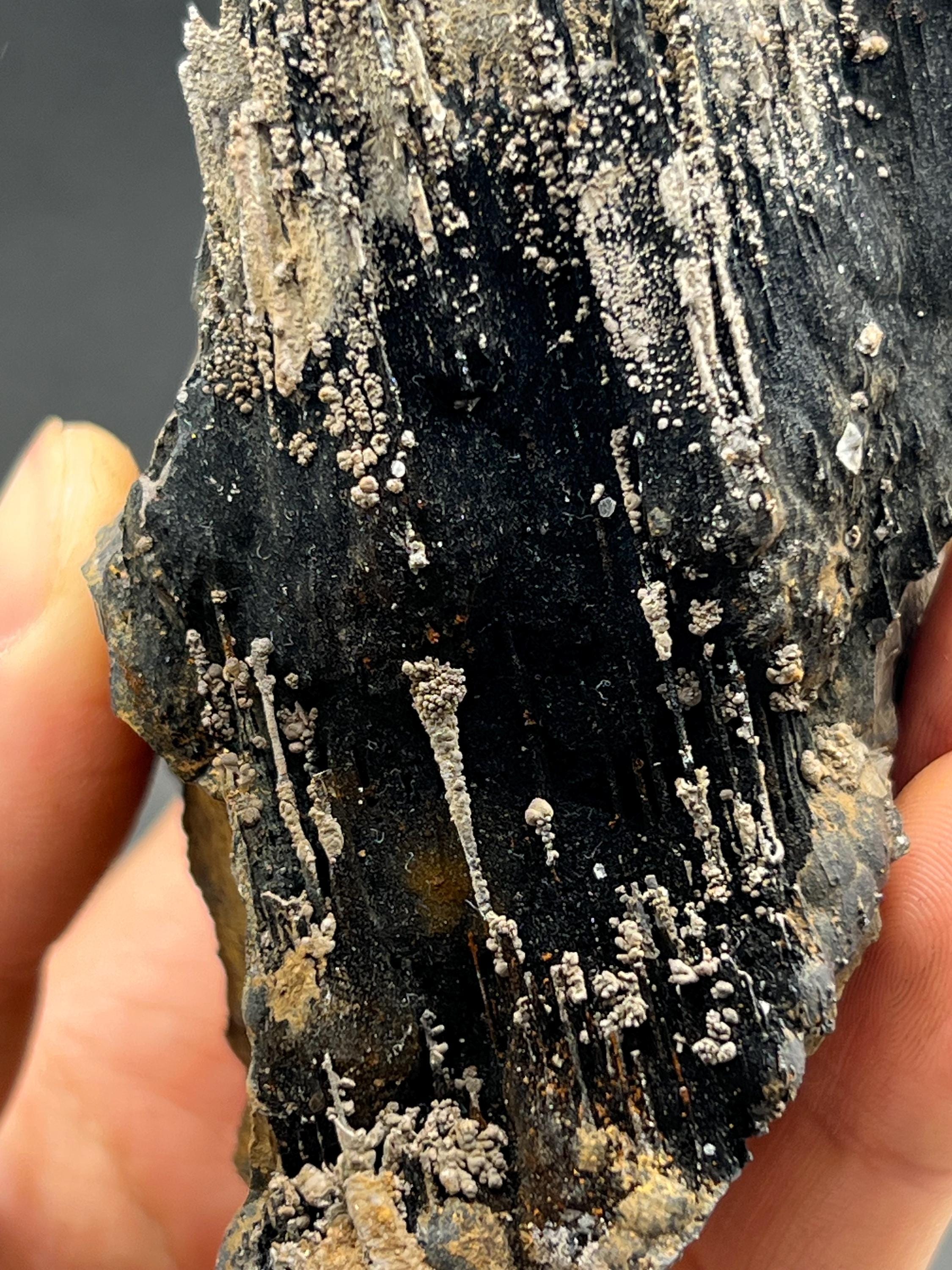Showy Limonite And Specularite On Stalactite Goethite - Crystal Gemstone AE 