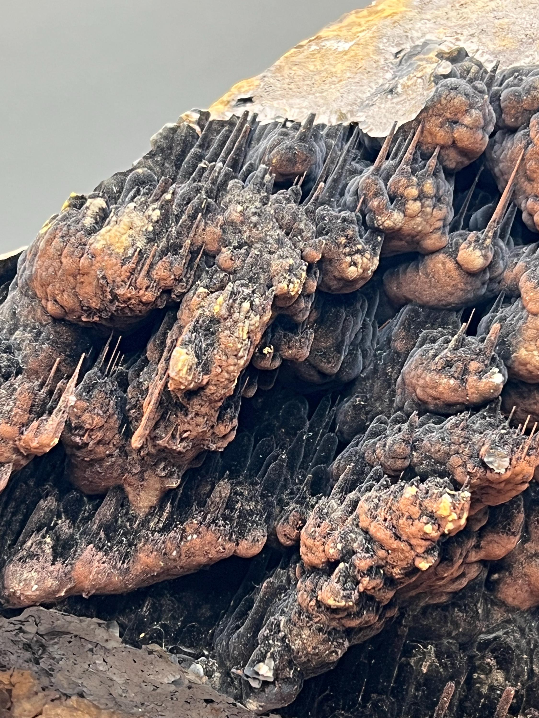 Limonite And Specularite On Stalactite Goethite Specimen - Crystal Gemstone AE 