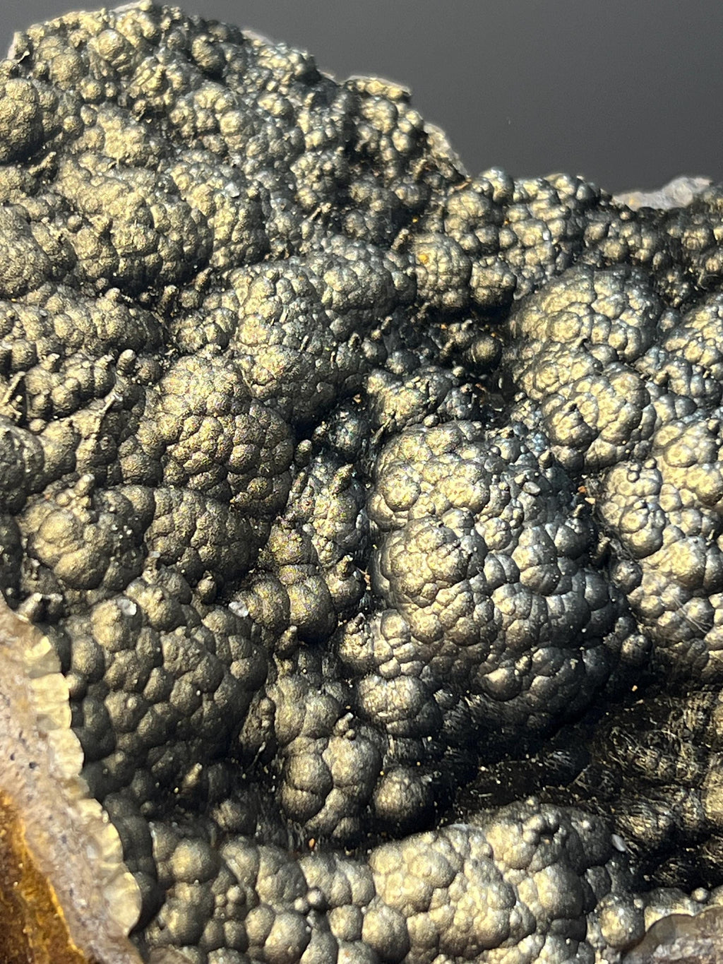Museum Quality! Very Special Golden Color Botryoidal Goethite - Crystal Gemstone AE 