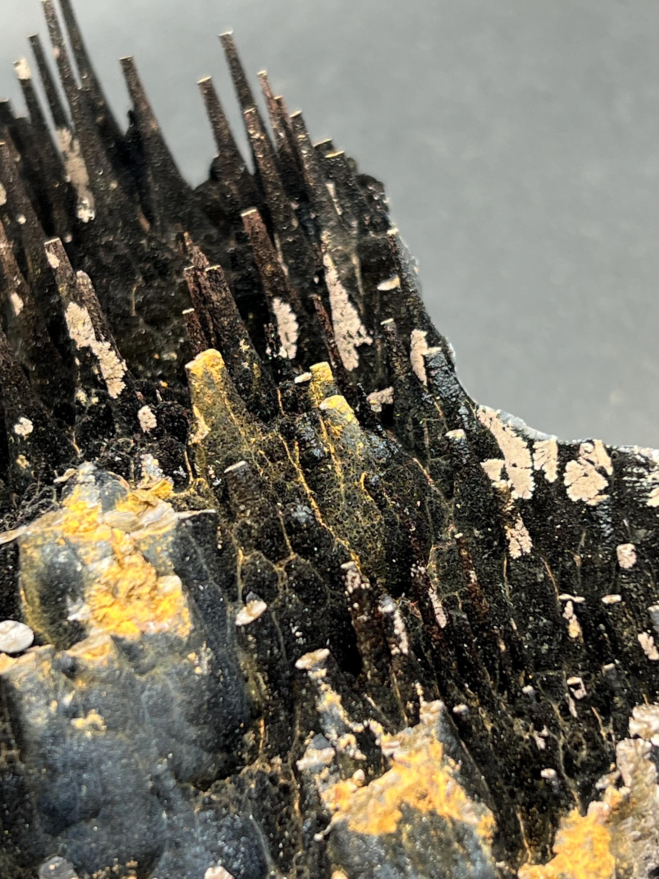 Museum Grade Limonite On Stalactite Goethite - Crystal Gemstone AE 
