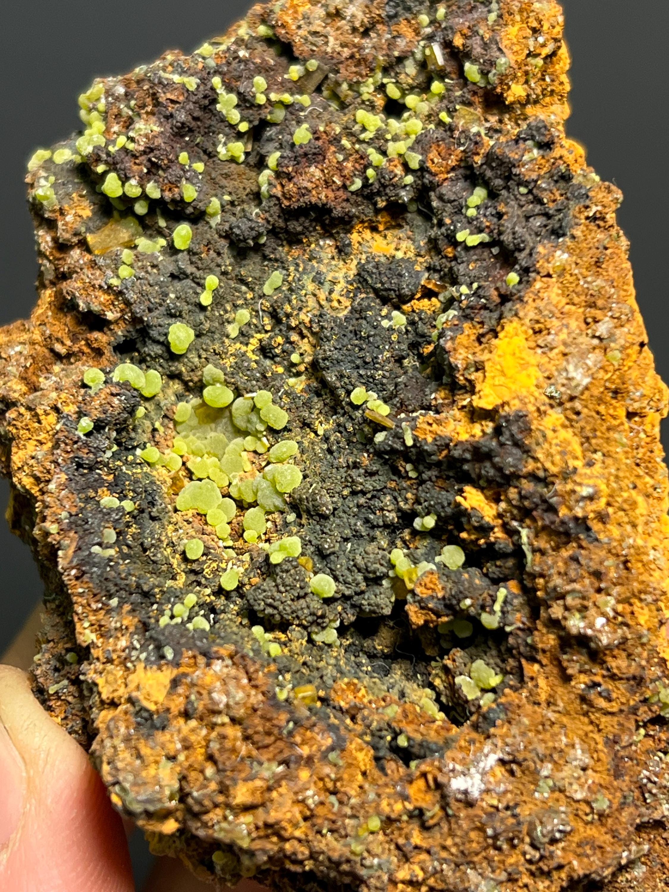 Mexican Mimetite Specimen – Botryoidal Mineral, Honey-Yellow Crystals - Crystal Gemstone AE 